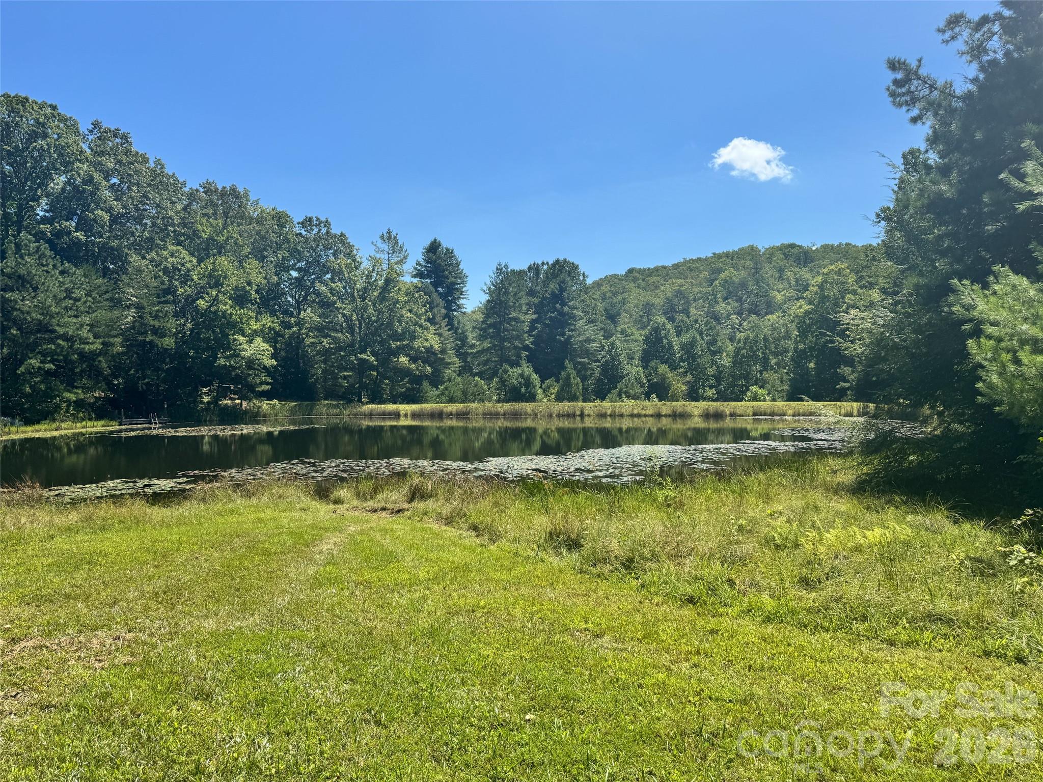 Acreage at 567 Davey Branch Road, Horse Shoe, photo 42 of 44