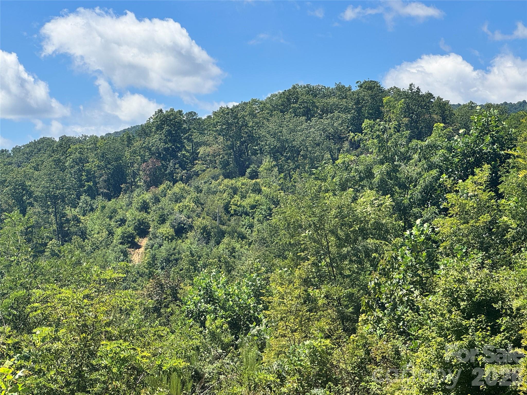 Acreage at 567 Davey Branch Road, Horse Shoe, photo 43 of 44