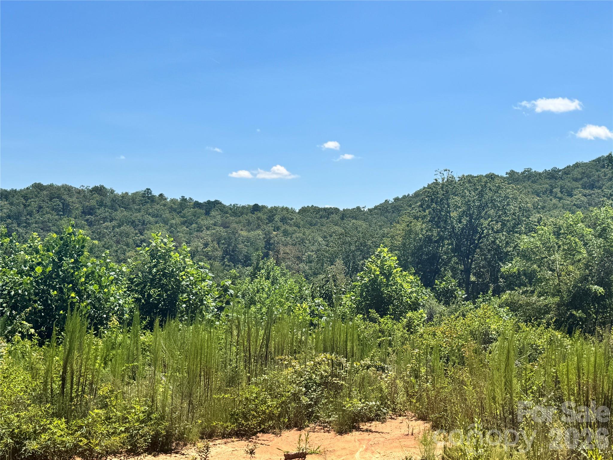 Acreage at 567 Davey Branch Road, Horse Shoe, photo 44 of 44