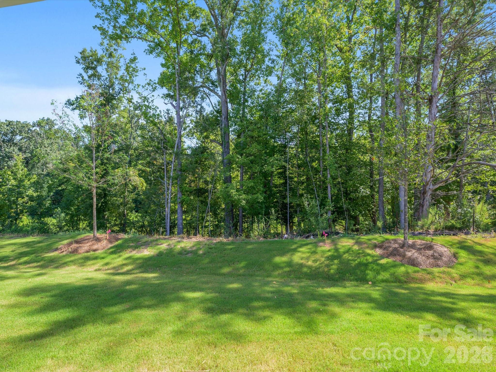 Enjoy views of the protected nature preserve from your back porch - 276 Alluvium Lane, Waxhaw