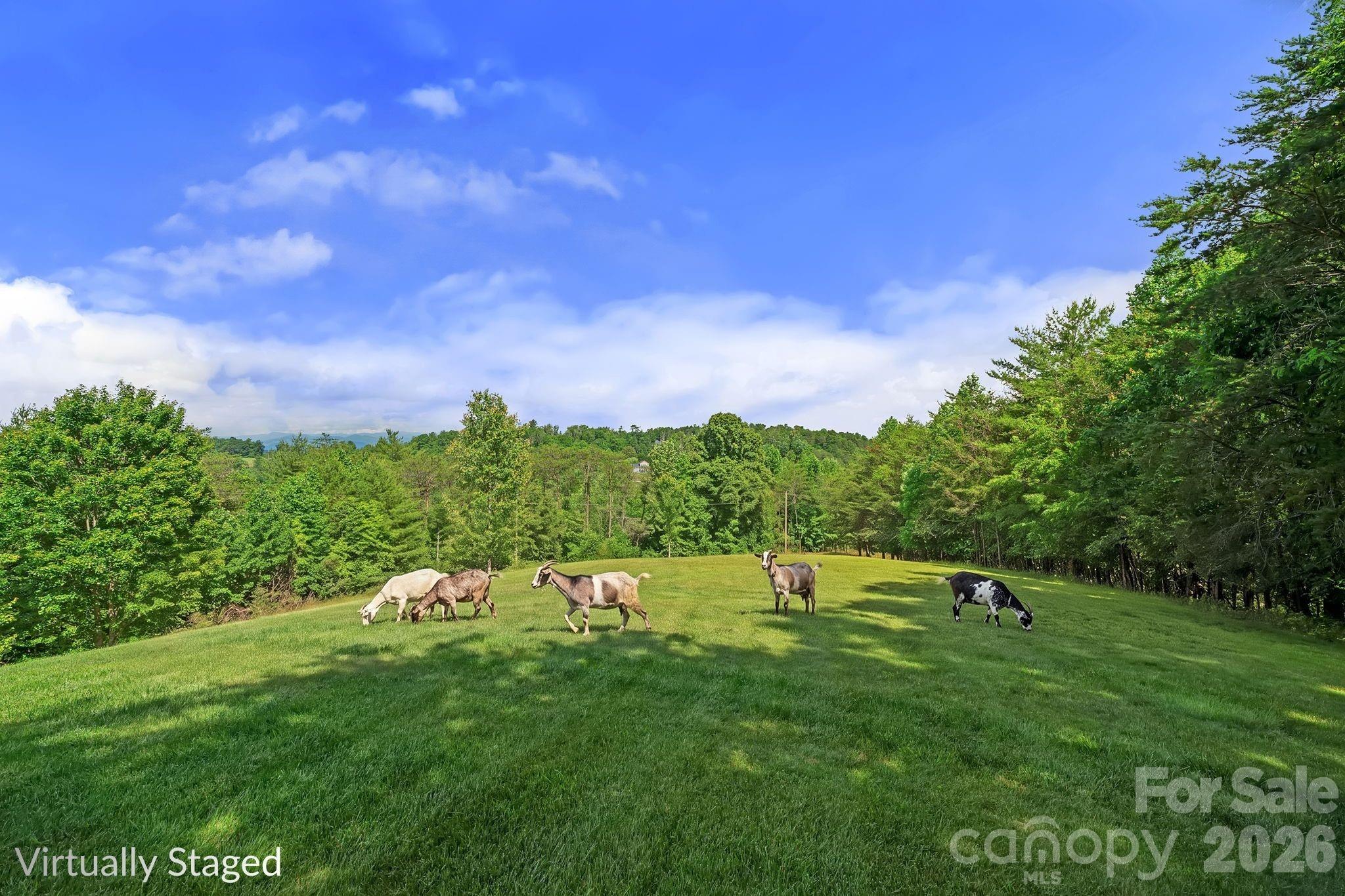 The goats in this photo are for illustrative purposes only. Not really there. - 56 Gudger Road, Leicester