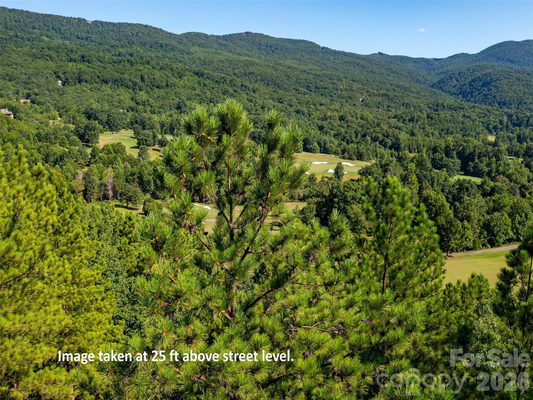 Single Family Residence at 2026 Deep Gap Farm Road E, Mill Spring, photo 2 of 19