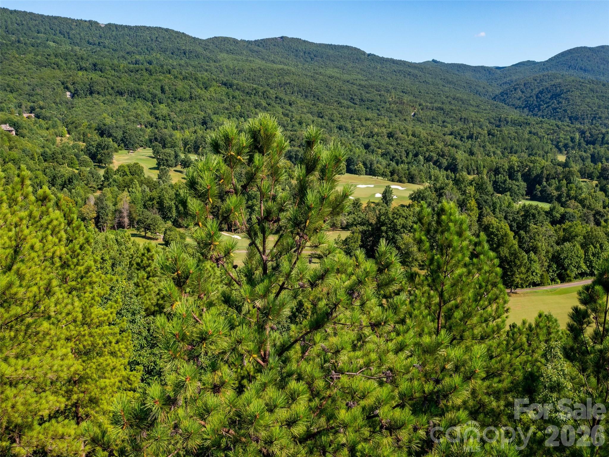 Single Family Residence at 2026 Deep Gap Farm Road E, Mill Spring, photo 11 of 19