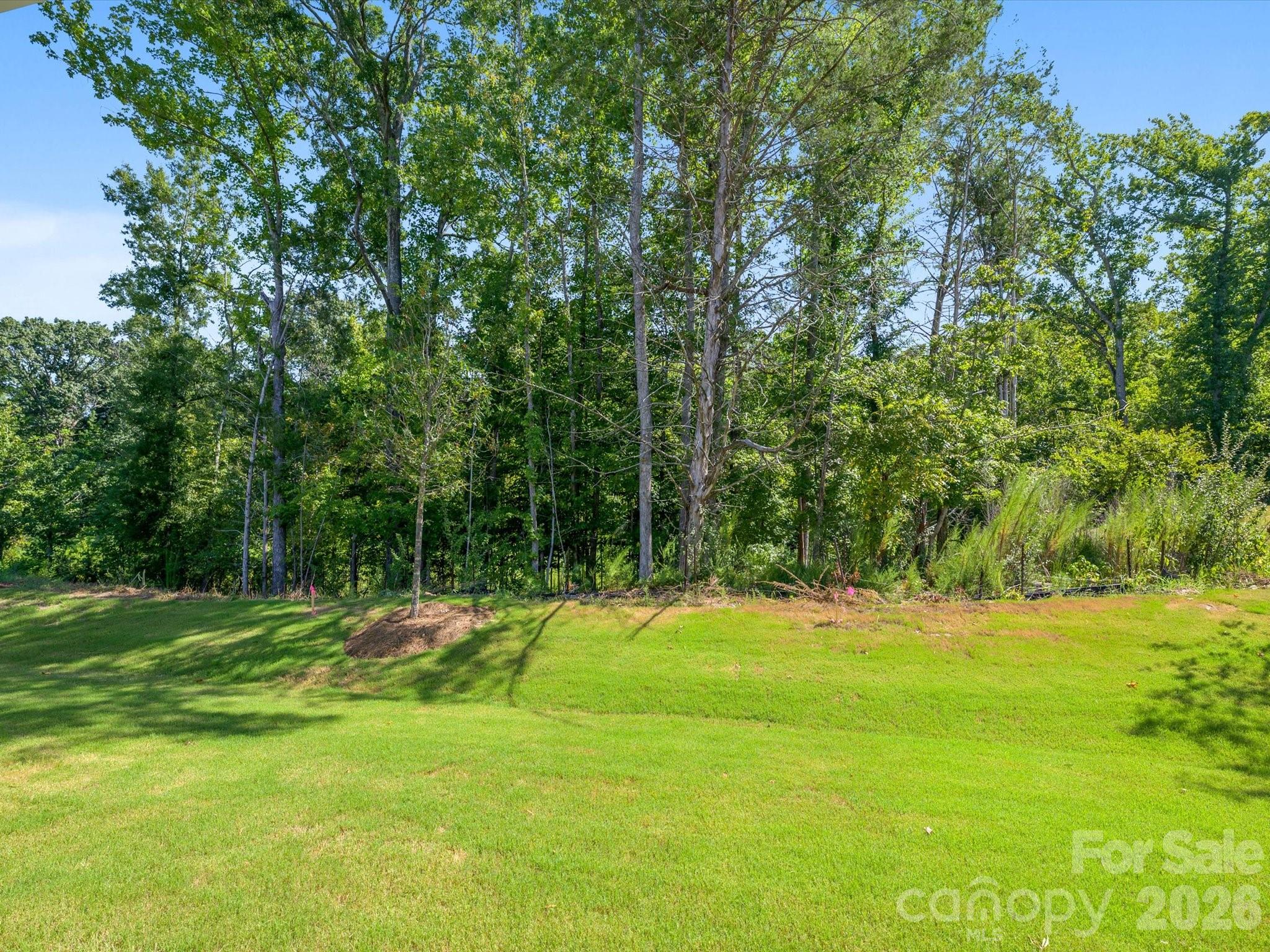 Private backyard overlooks protected nature preserve - 272 Alluvium Lane, Waxhaw