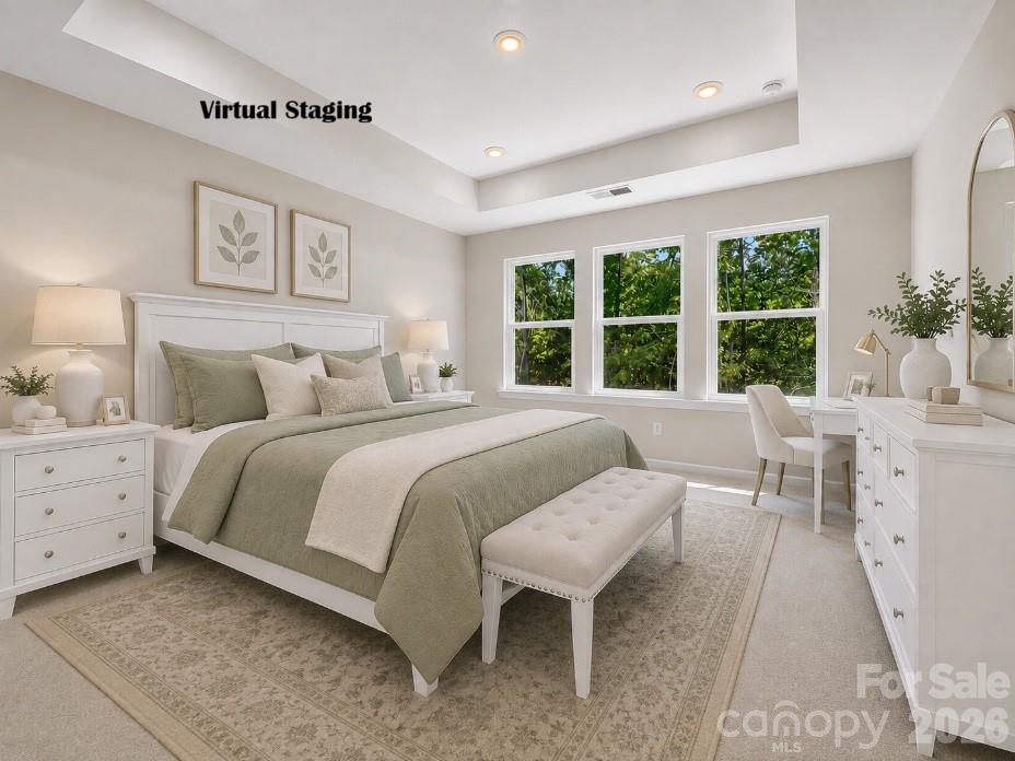 virtual staging - 272 Alluvium Lane, Waxhaw