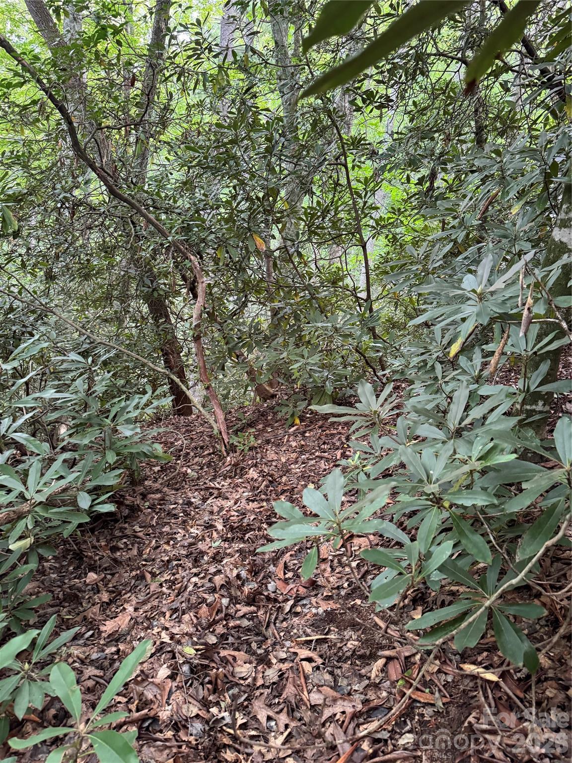 Acreage at 000 Wilson Road, Pisgah Forest, photo 20 of 41
