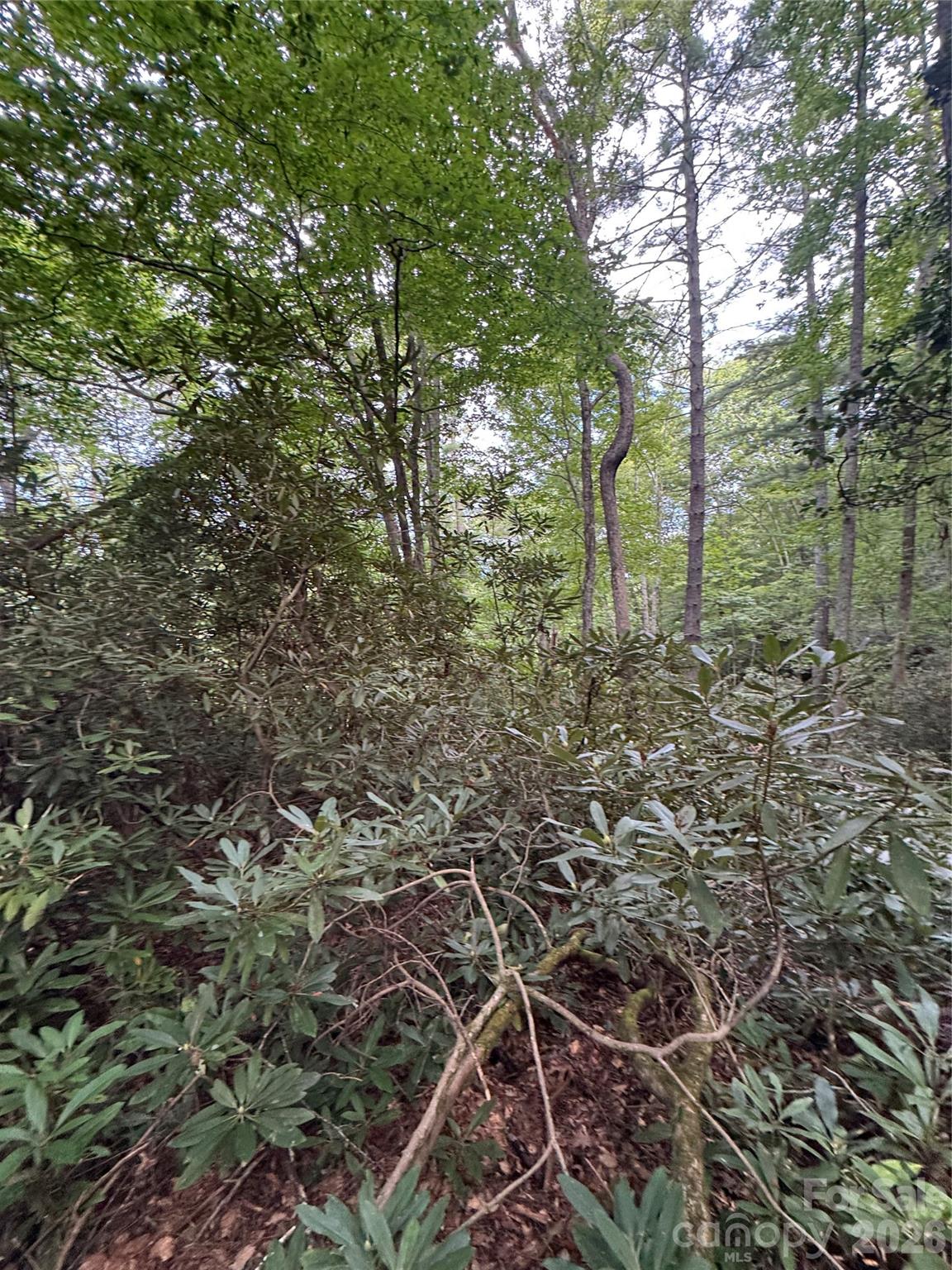 Acreage at 000 Wilson Road, Pisgah Forest, photo 28 of 41