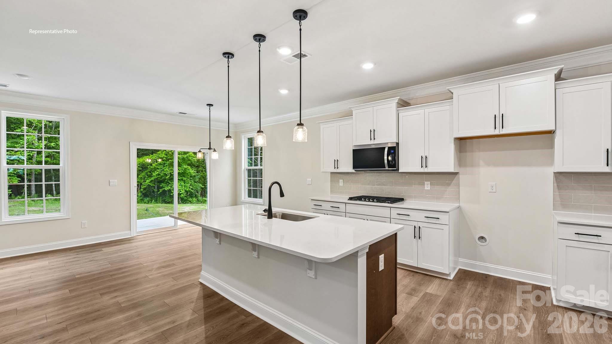 Single Family Residence at 2863 Atwater Pond Circle, Denver, photo 10 of 33