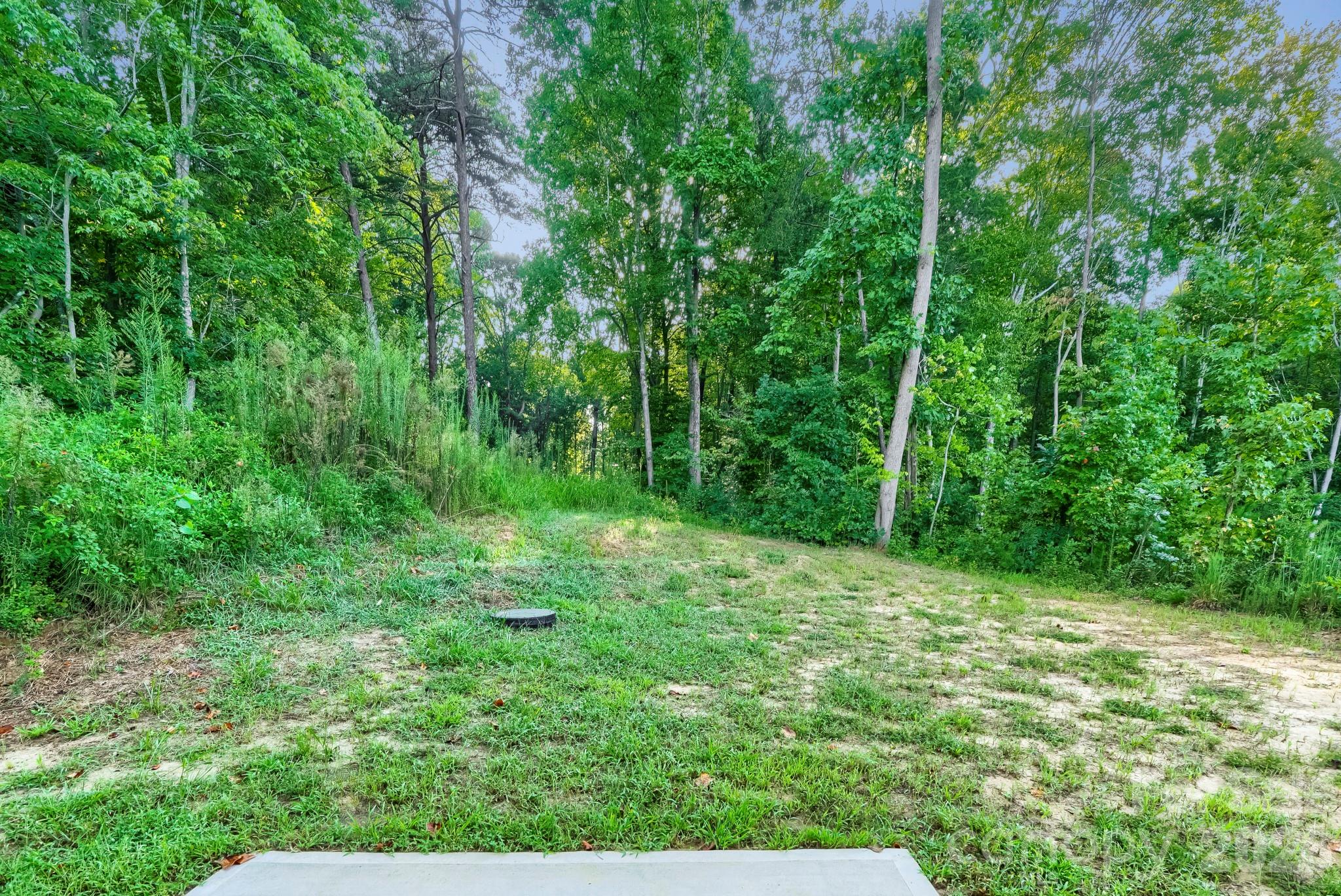Backyard - 178 E Panther Creek Road, Troutman