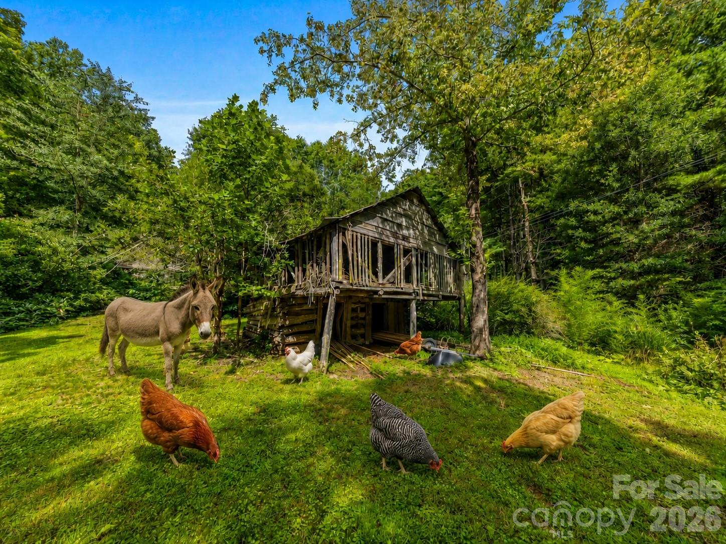 “Animals virtually added to illustrate mini-farm potential.” Barn is included with property. - 81 Summer Trees Lane, Burnsville