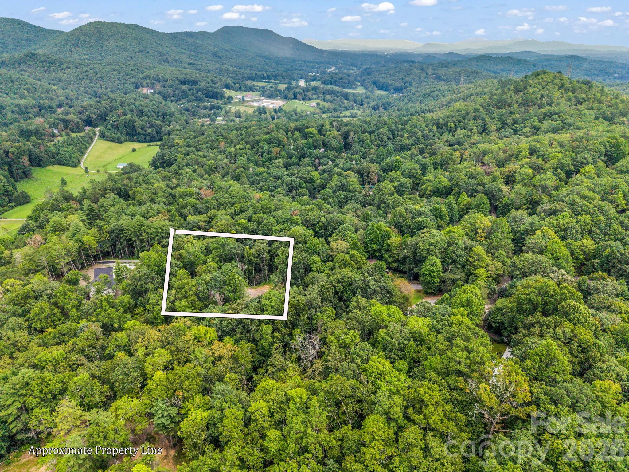 Lot at 175 Silver Bullet Way, Pisgah Forest, photo 3 of 9