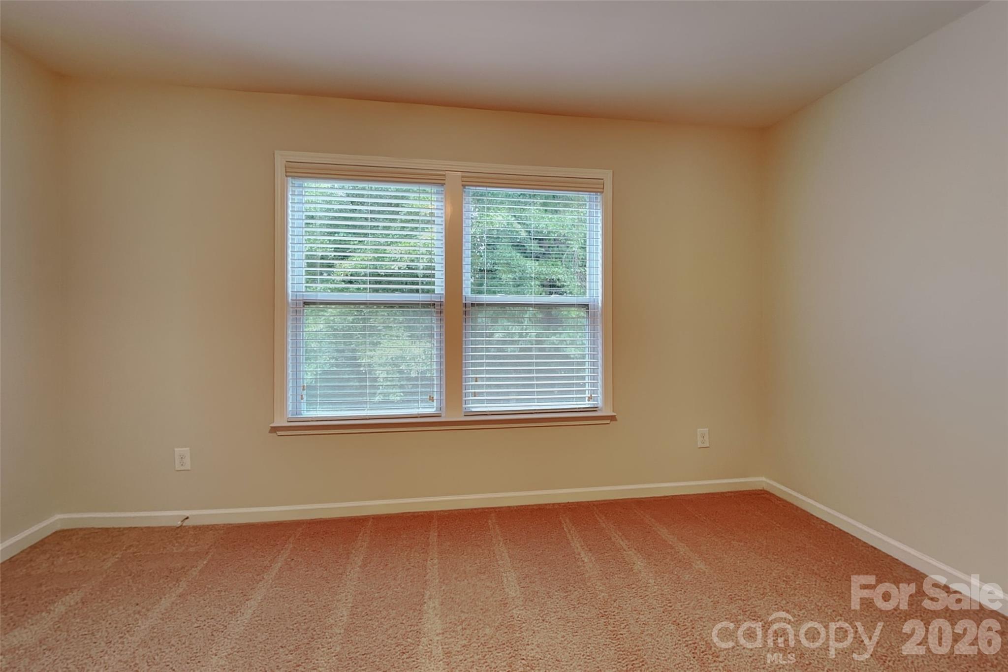Single Family Residence at 3058 Amaranth Drive, Fort Mill, photo 16 of 33
