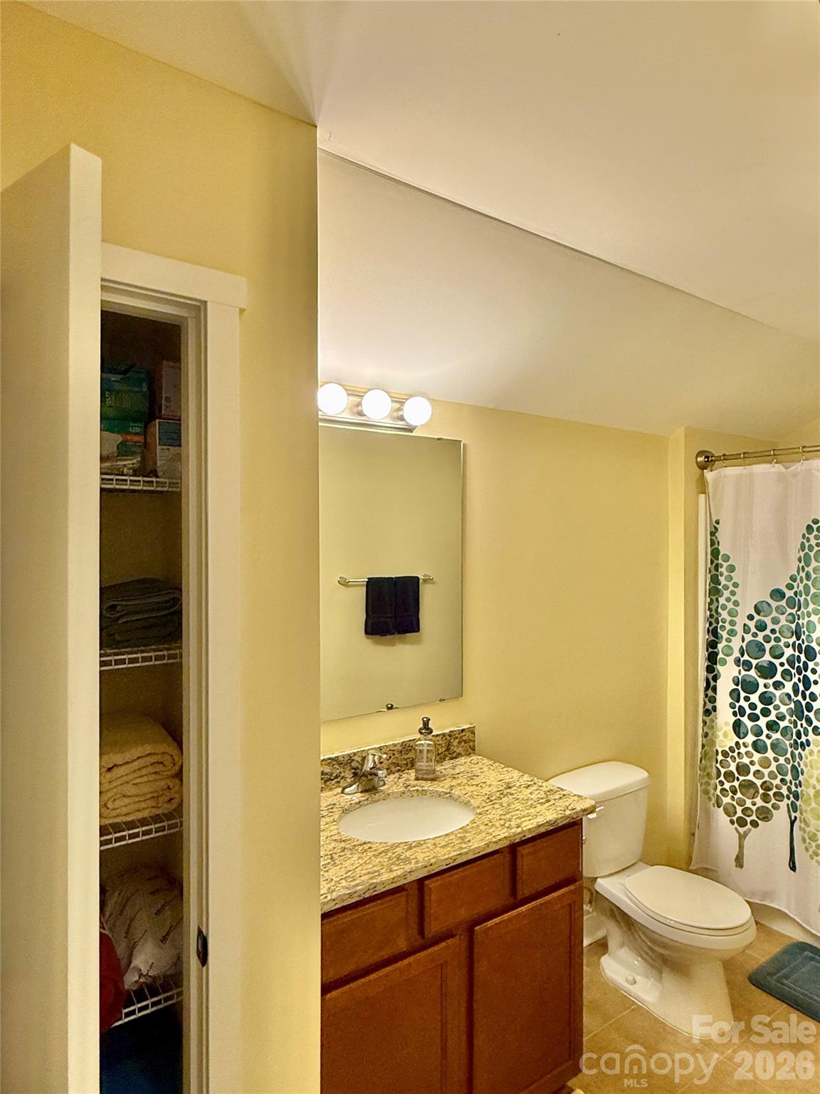 Private Loft Bathroom 3 - 5227 Crystal Lakes Drive, Rock Hill