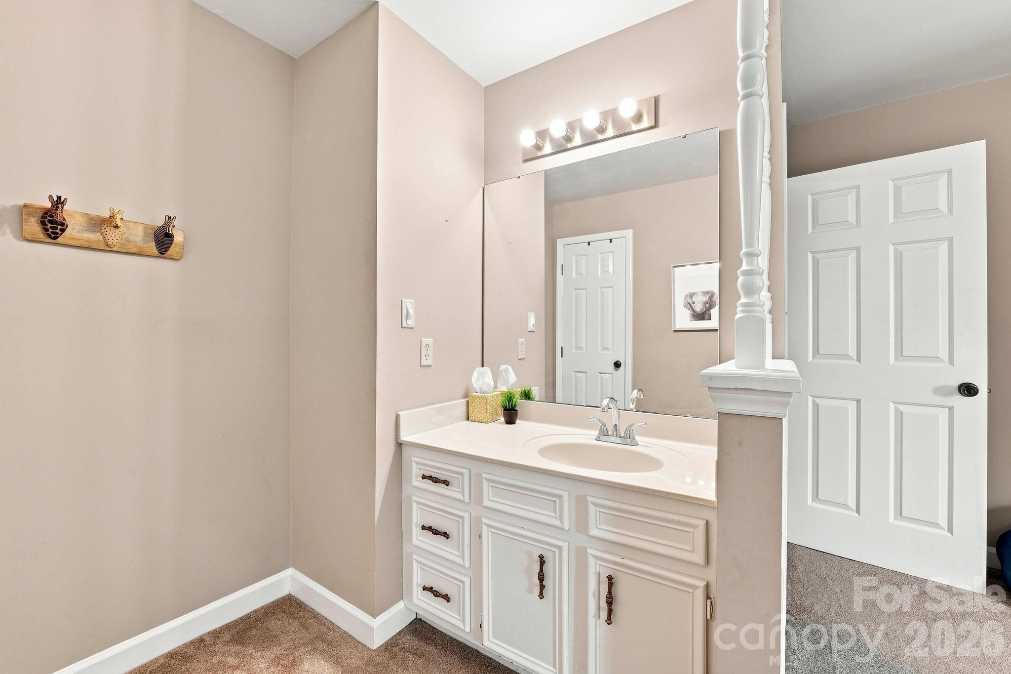 Full Hall Bathroom - 106 Webbed Foot Road, Mooresville