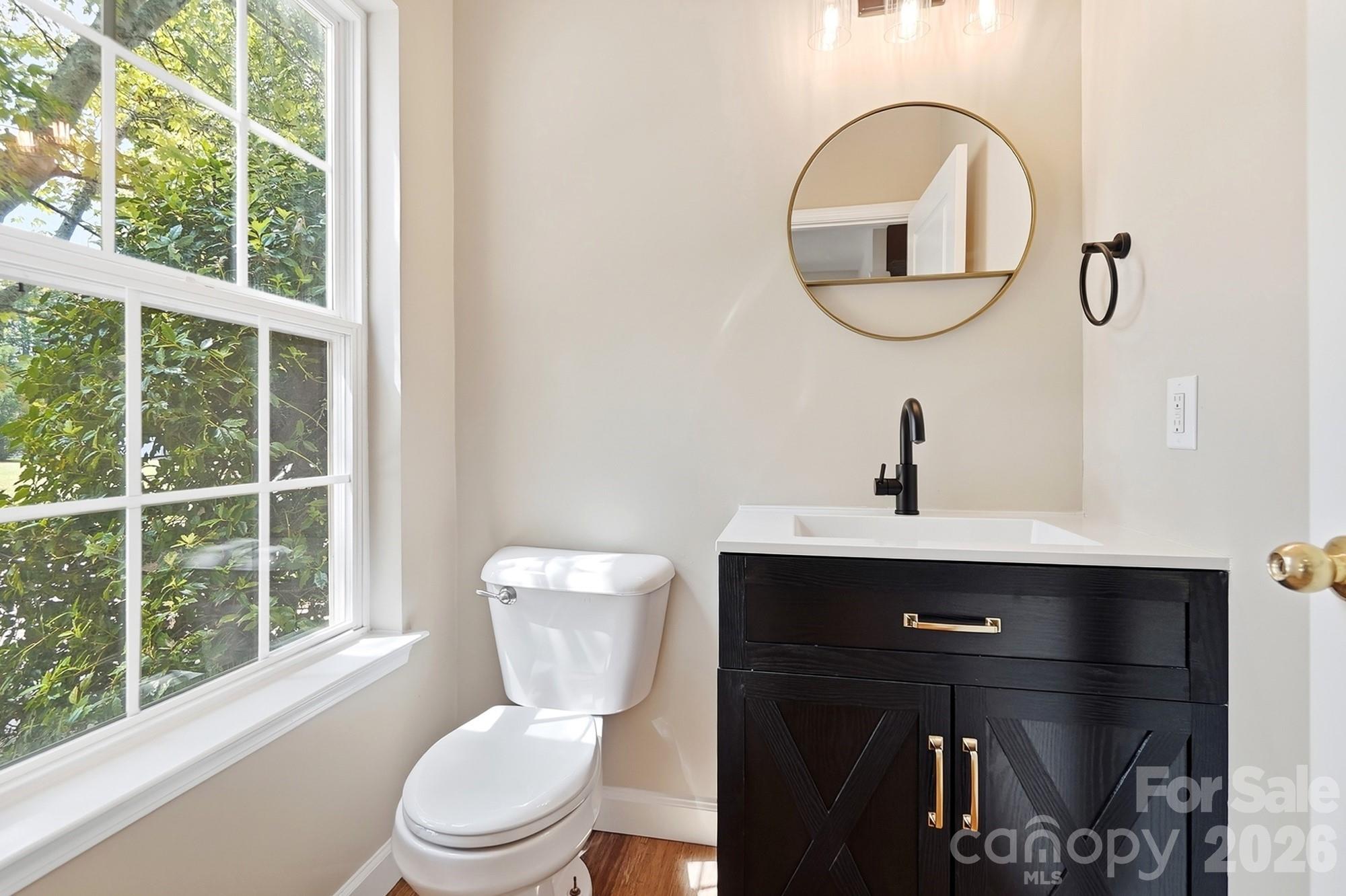 Half Bath with upgraded vanity, lighting and mirror - 11402 Heritage Green Drive, Cornelius