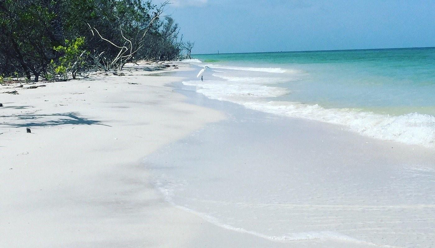 Just one of the many nearby beaches - 243 MARINER DR #243, TARPON SPRINGS