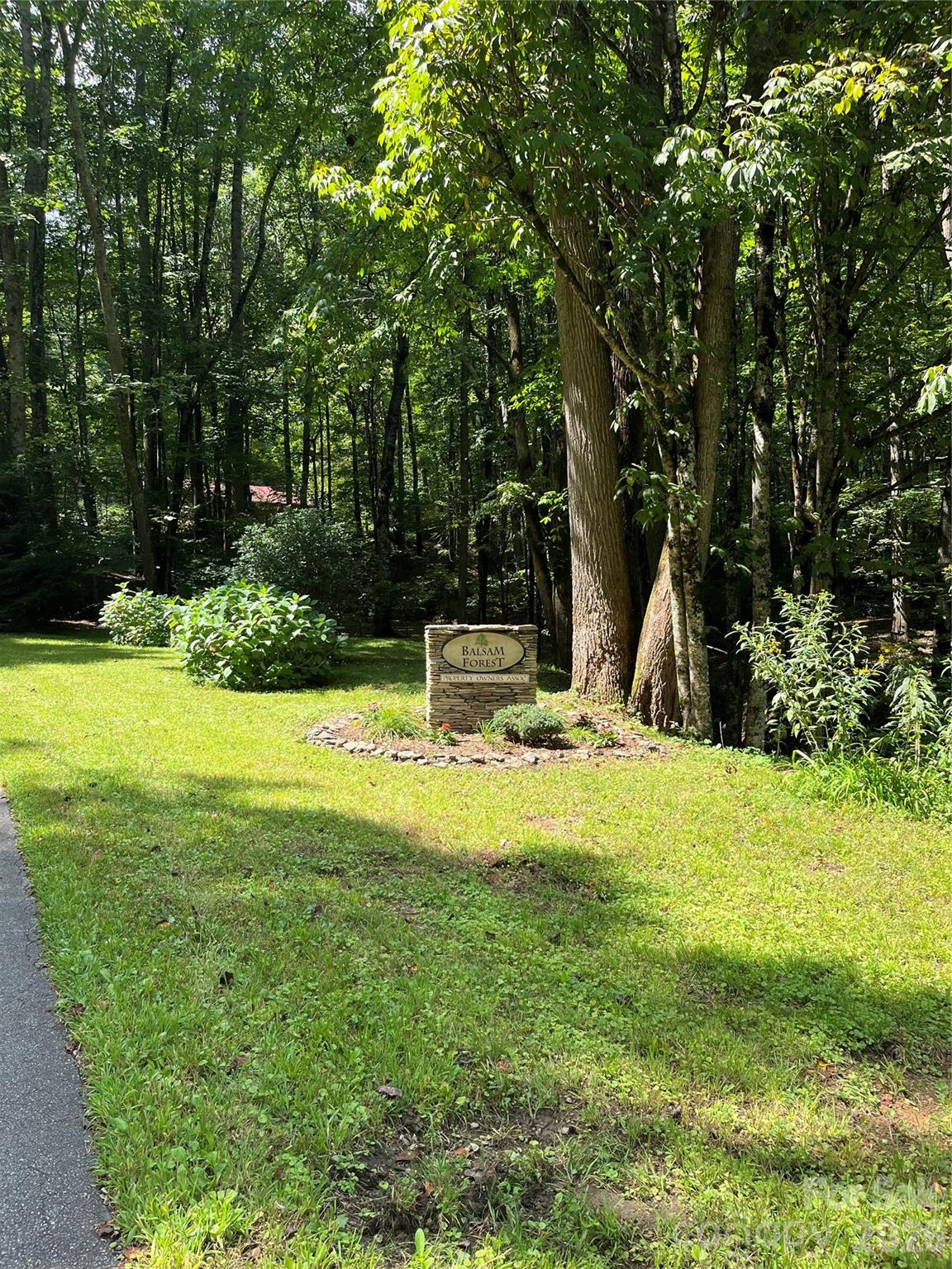You have arrived! - 99999 Trillium End Lane, Waynesville