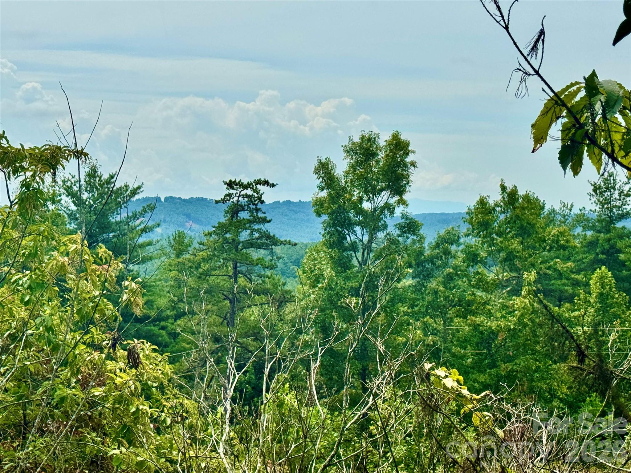 Lot at 1.46 acres, Lot 48 Tomahawk Ridge Drive, Lenoir, photo 4 of 28