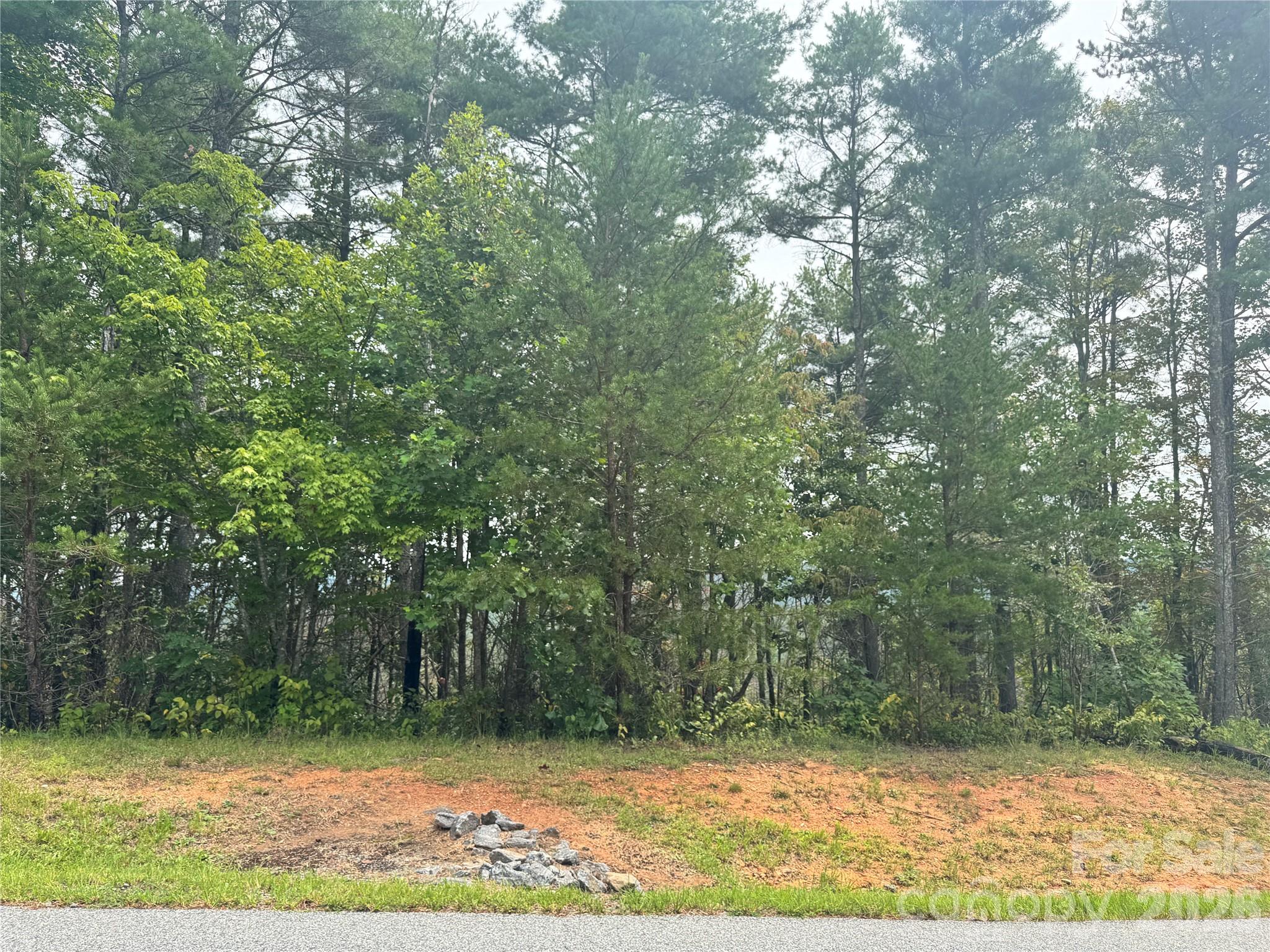 Lot at 1.46 acres, Lot 48 Tomahawk Ridge Drive, Lenoir, photo 6 of 28