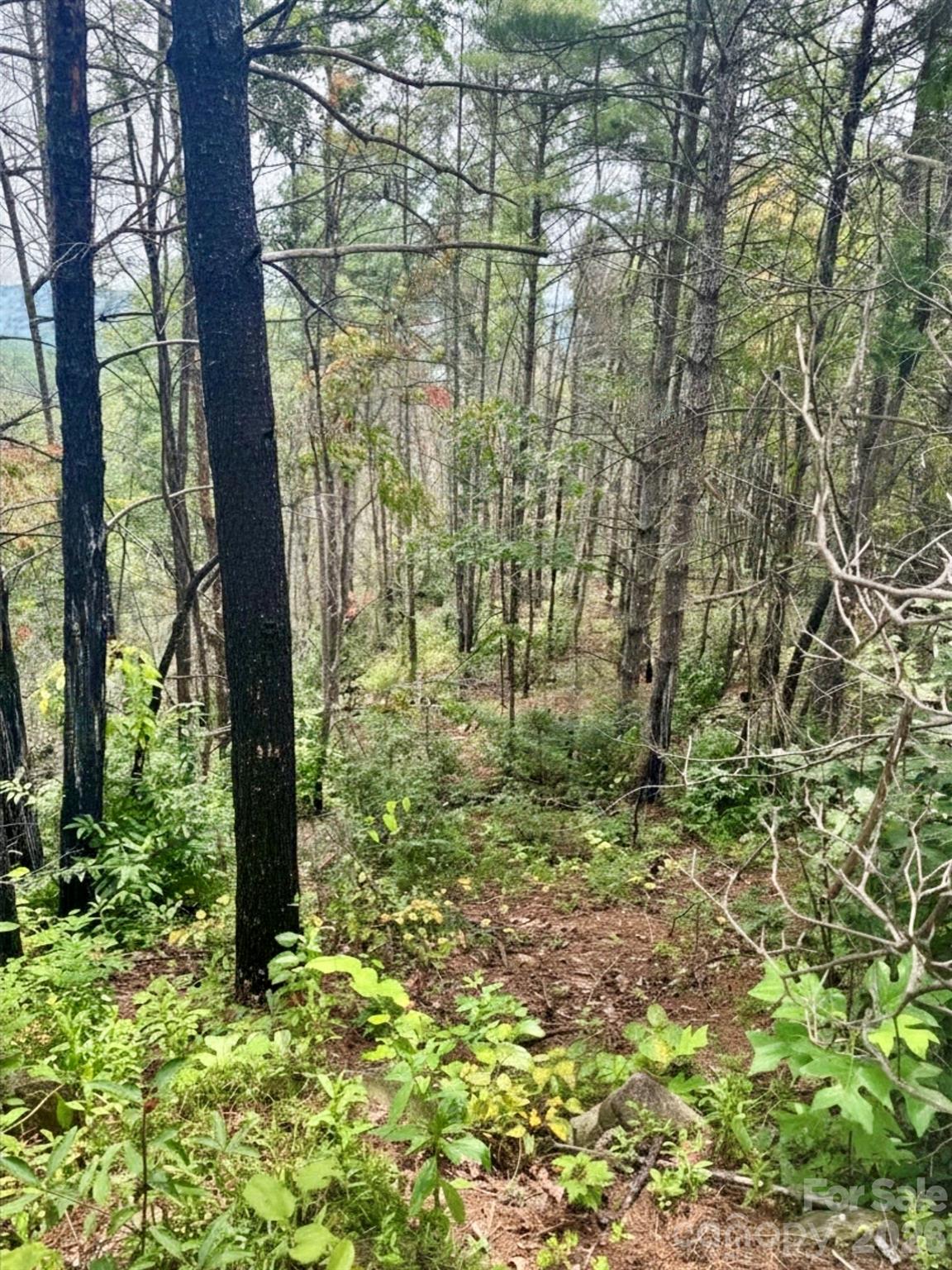 Lot at 1.46 acres, Lot 48 Tomahawk Ridge Drive, Lenoir, photo 7 of 28