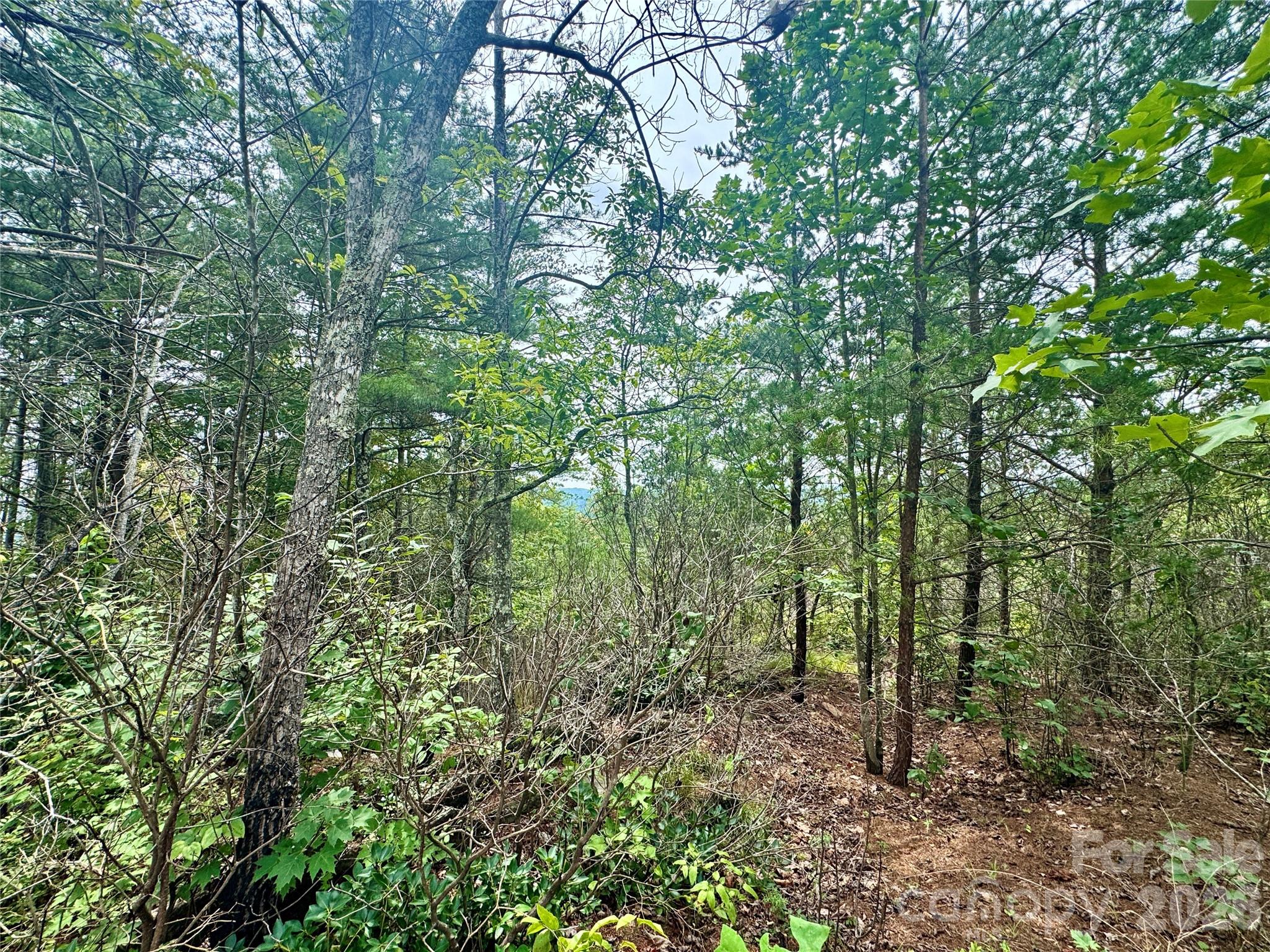 Lot at 1.46 acres, Lot 48 Tomahawk Ridge Drive, Lenoir, photo 9 of 28