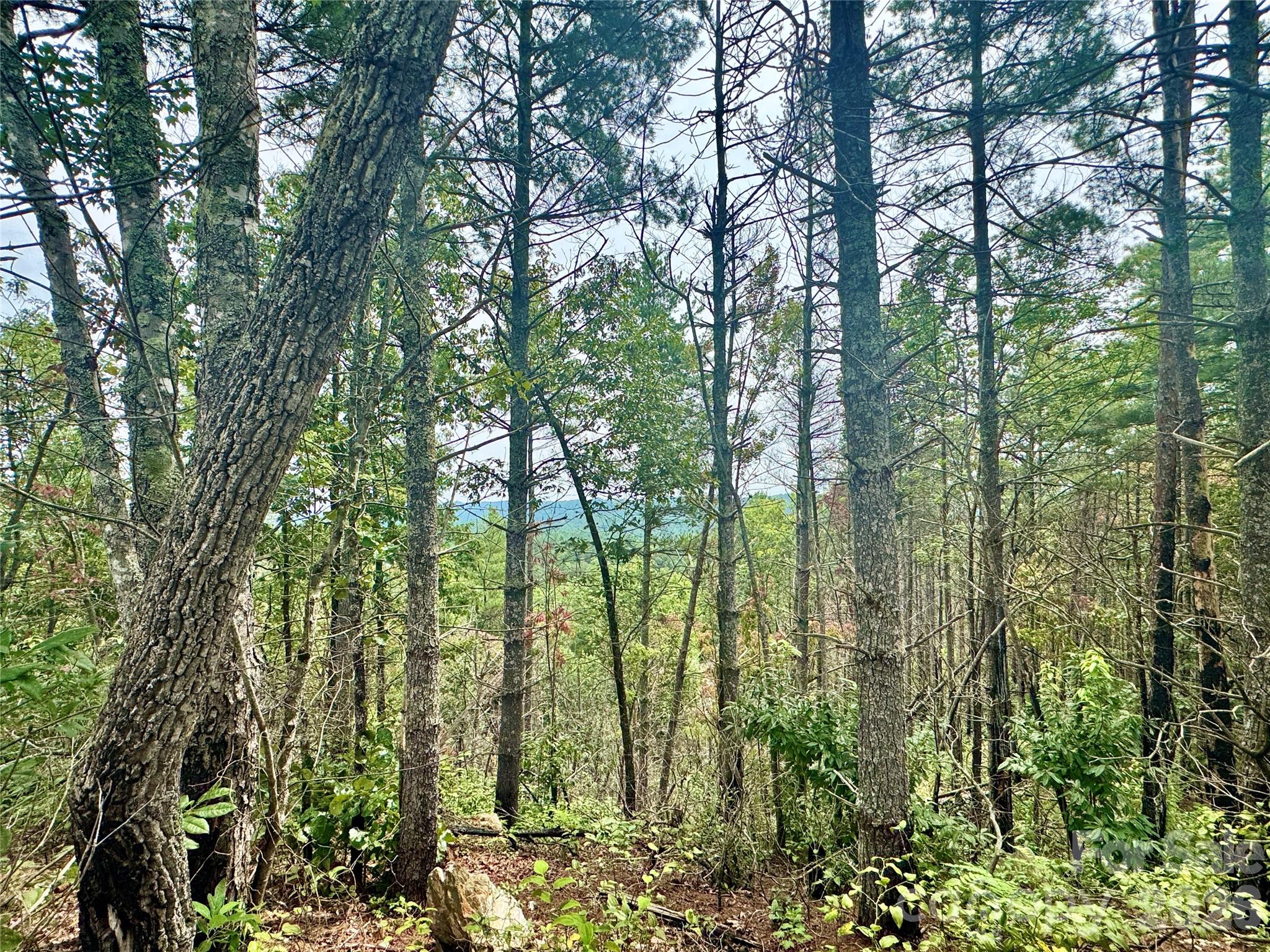 Lot at 1.46 acres, Lot 48 Tomahawk Ridge Drive, Lenoir, photo 10 of 28