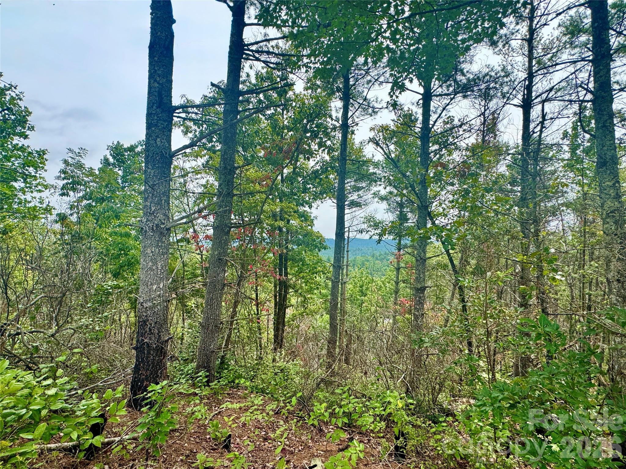 Lot at 1.46 acres, Lot 48 Tomahawk Ridge Drive, Lenoir, photo 11 of 28