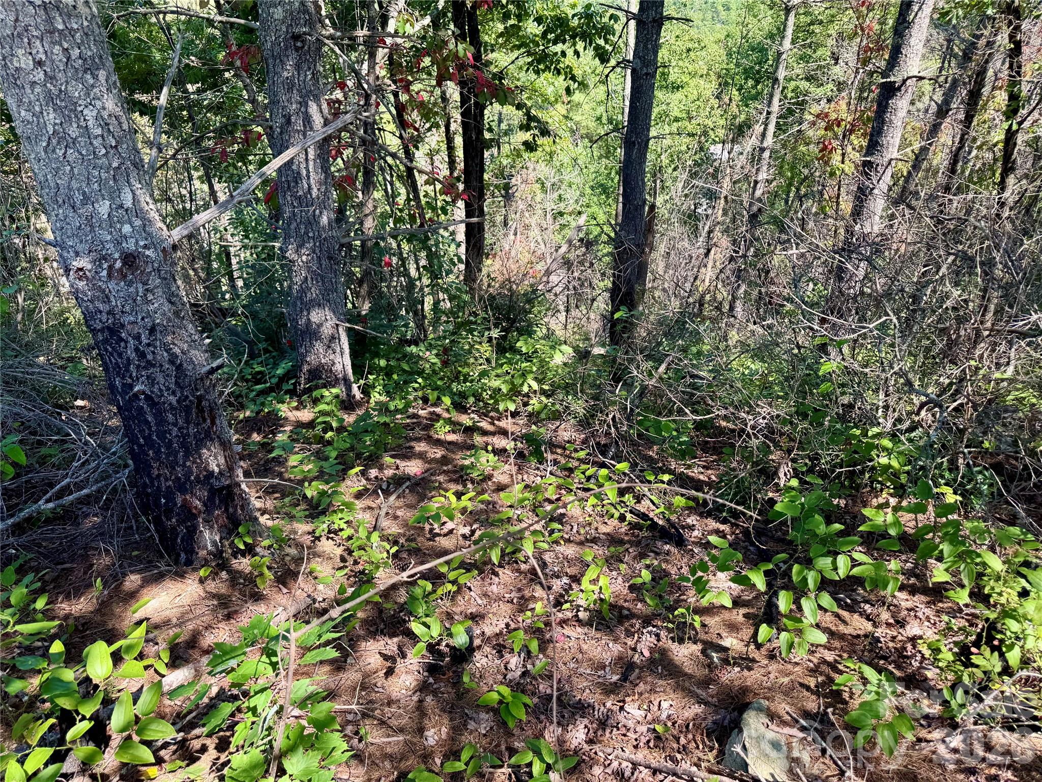 Lot at 1.46 acres, Lot 48 Tomahawk Ridge Drive, Lenoir, photo 12 of 28
