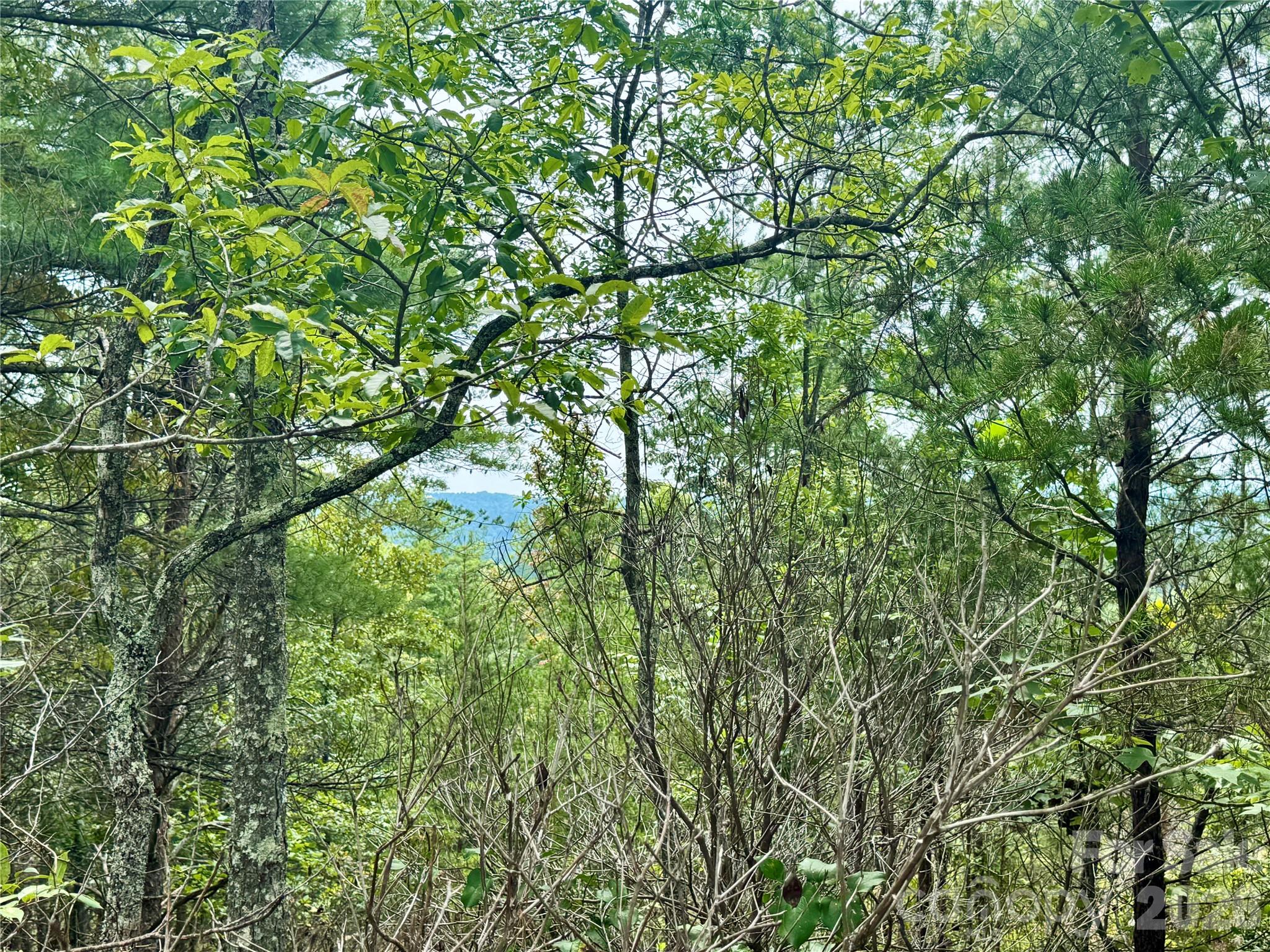 Lot at 1.46 acres, Lot 48 Tomahawk Ridge Drive, Lenoir, photo 13 of 28