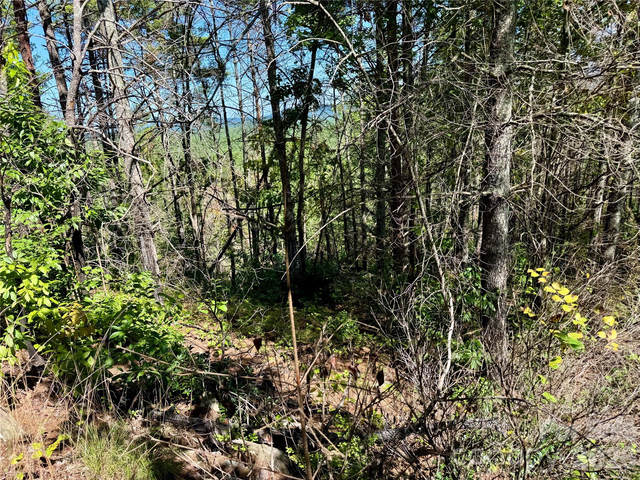 Lot at 1.46 acres, Lot 48 Tomahawk Ridge Drive, Lenoir, photo 14 of 28