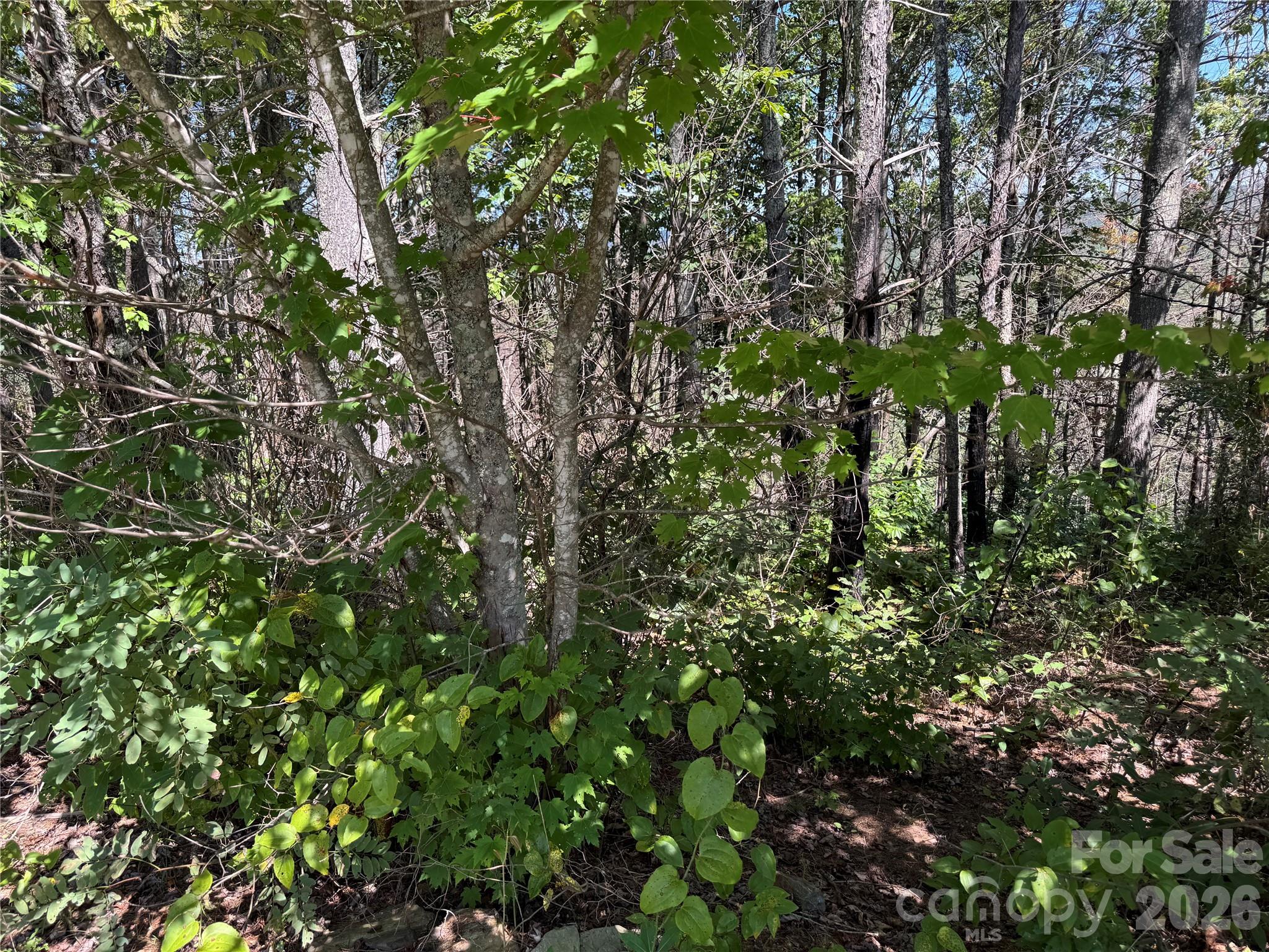 Lot at 1.46 acres, Lot 48 Tomahawk Ridge Drive, Lenoir, photo 15 of 28