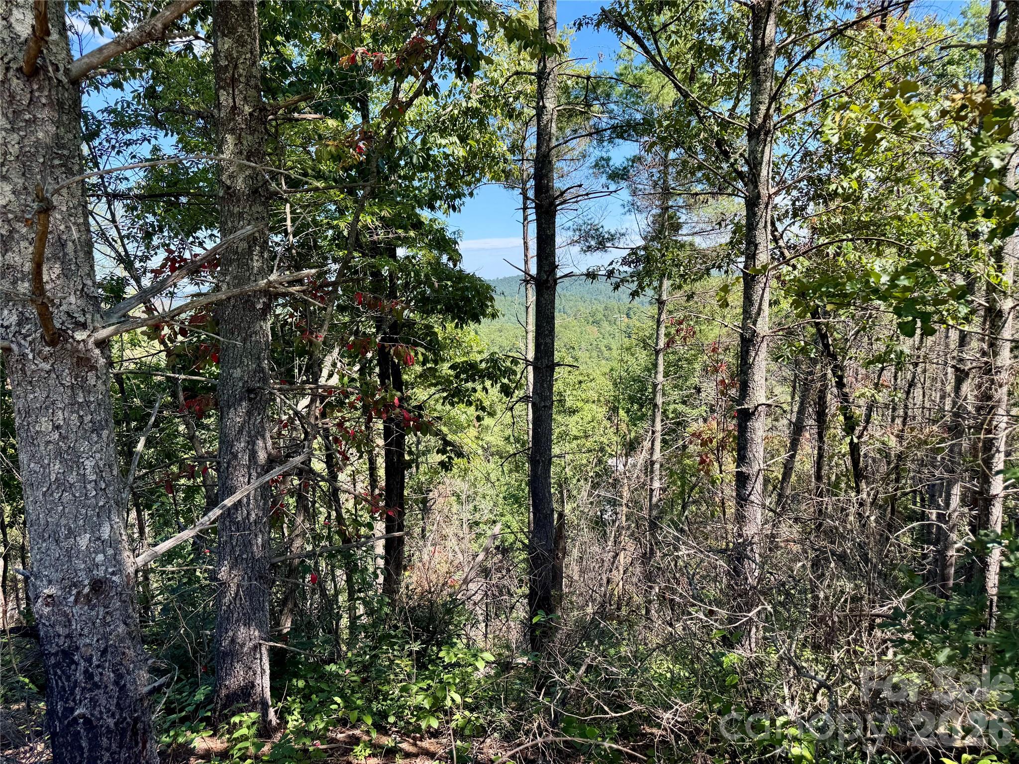 Lot at 1.46 acres, Lot 48 Tomahawk Ridge Drive, Lenoir, photo 16 of 28