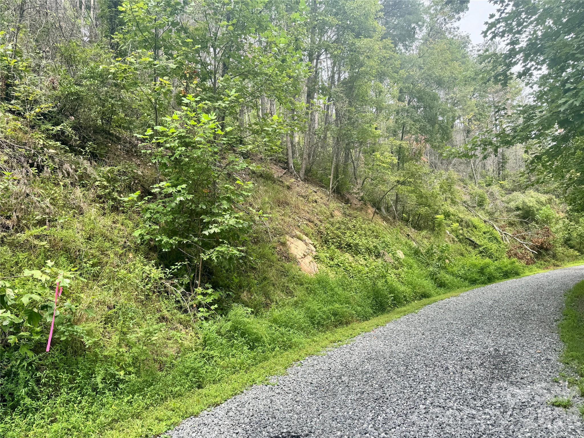 Lot at 1.46 acres, Lot 48 Tomahawk Ridge Drive, Lenoir, photo 18 of 28