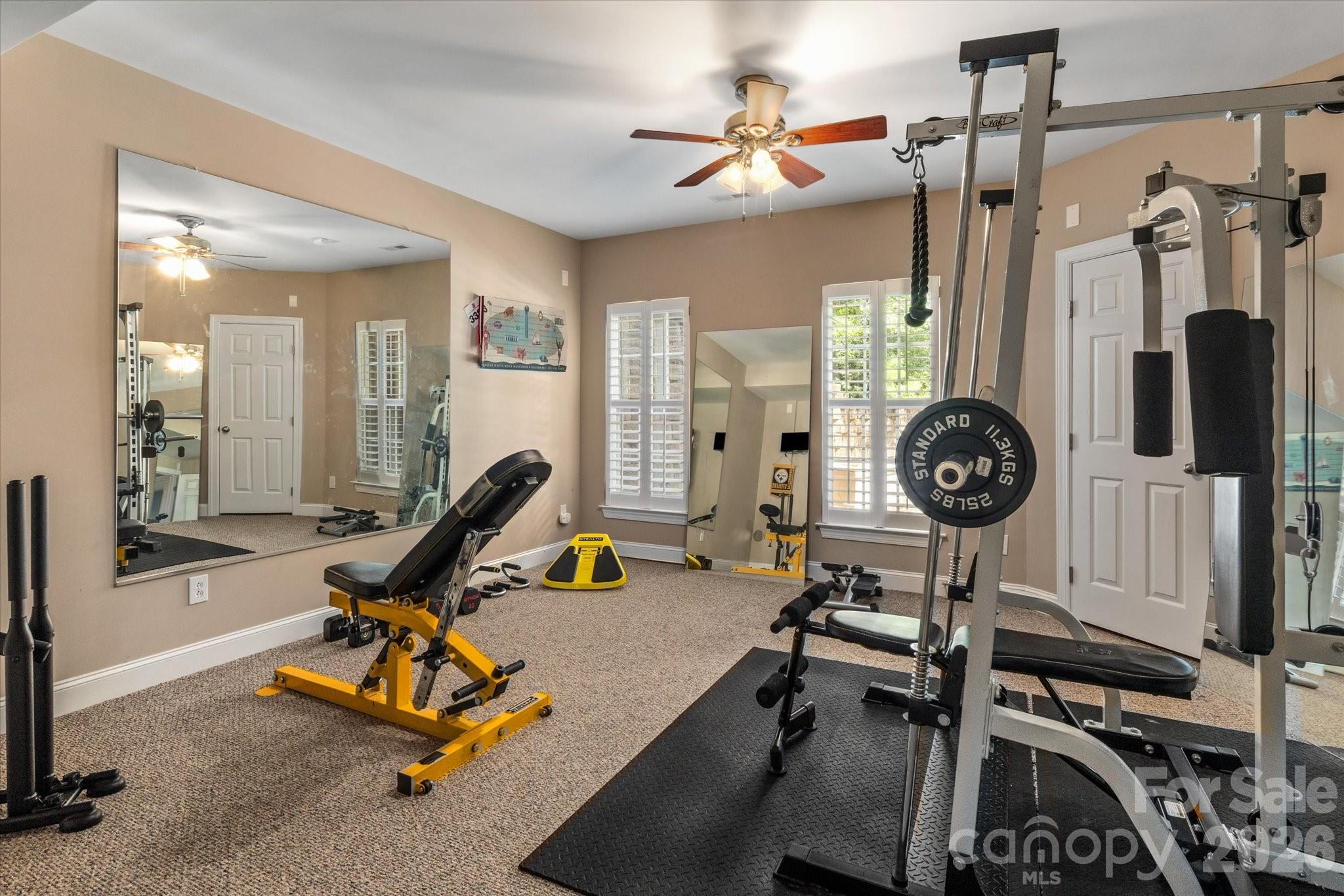 Basement Bedroom/Multi-purpose Room - 309 Stonewater Bay Lane, Mount Holly