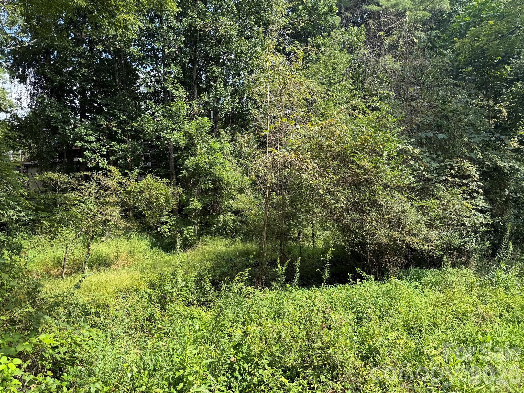 Excellent Potential! - Off Meadowbrook Circle, Brevard