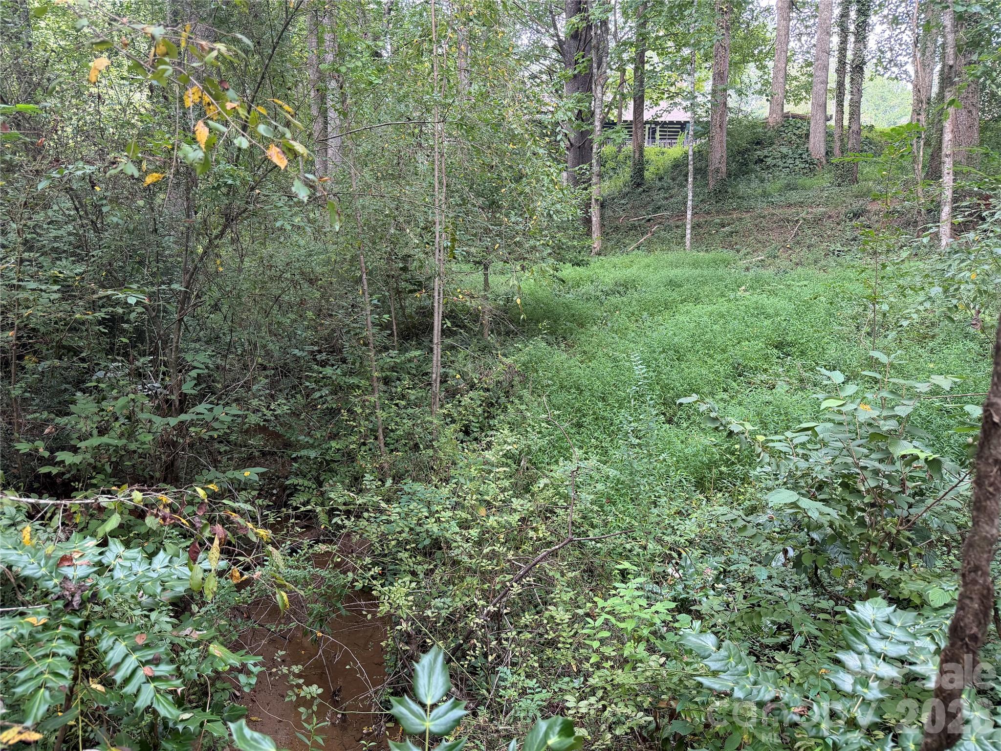 Creek! - Off Meadowbrook Circle, Brevard