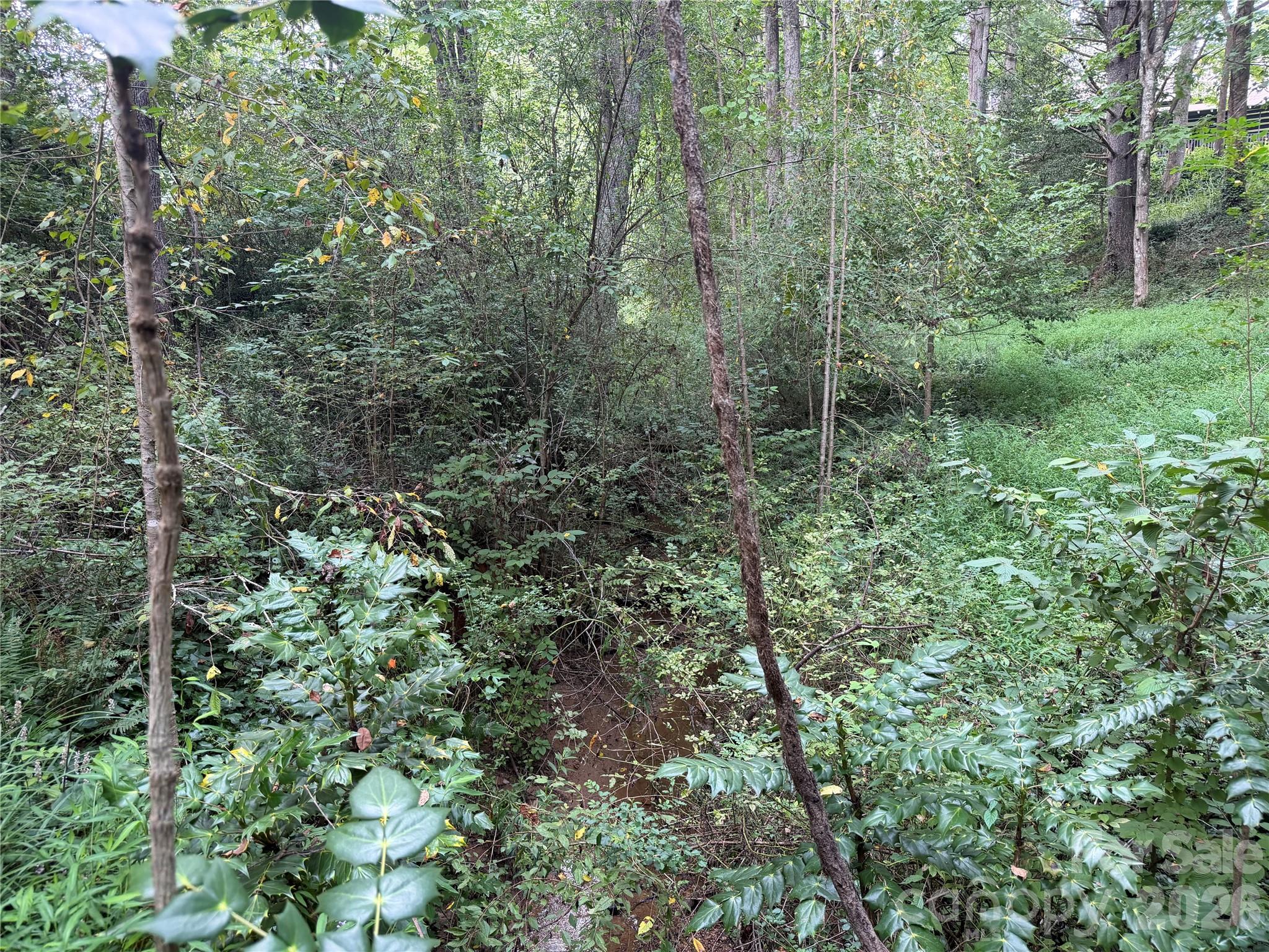 Creek! - Off Meadowbrook Circle, Brevard