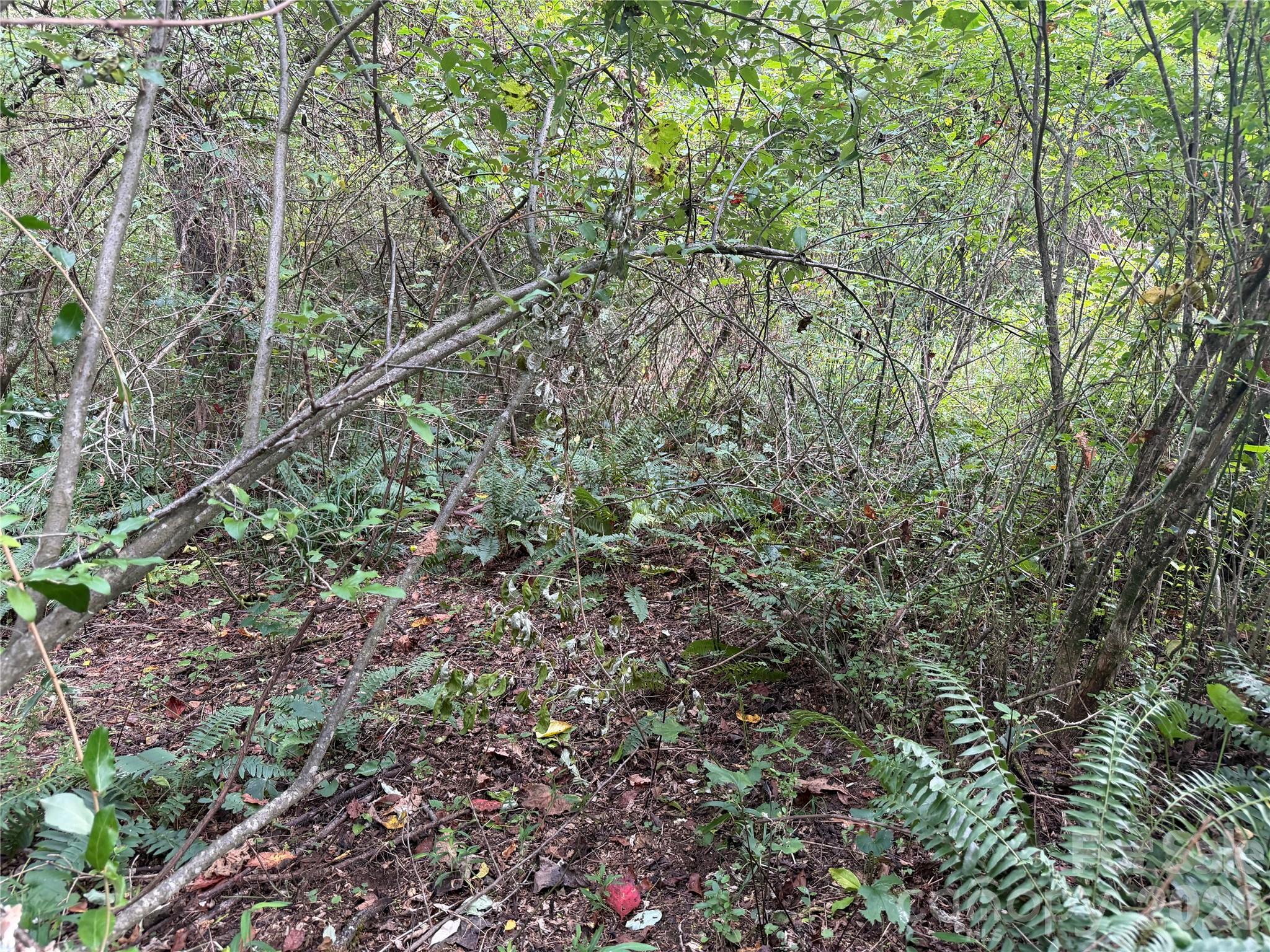 Gentle Topography! - Off Meadowbrook Circle, Brevard
