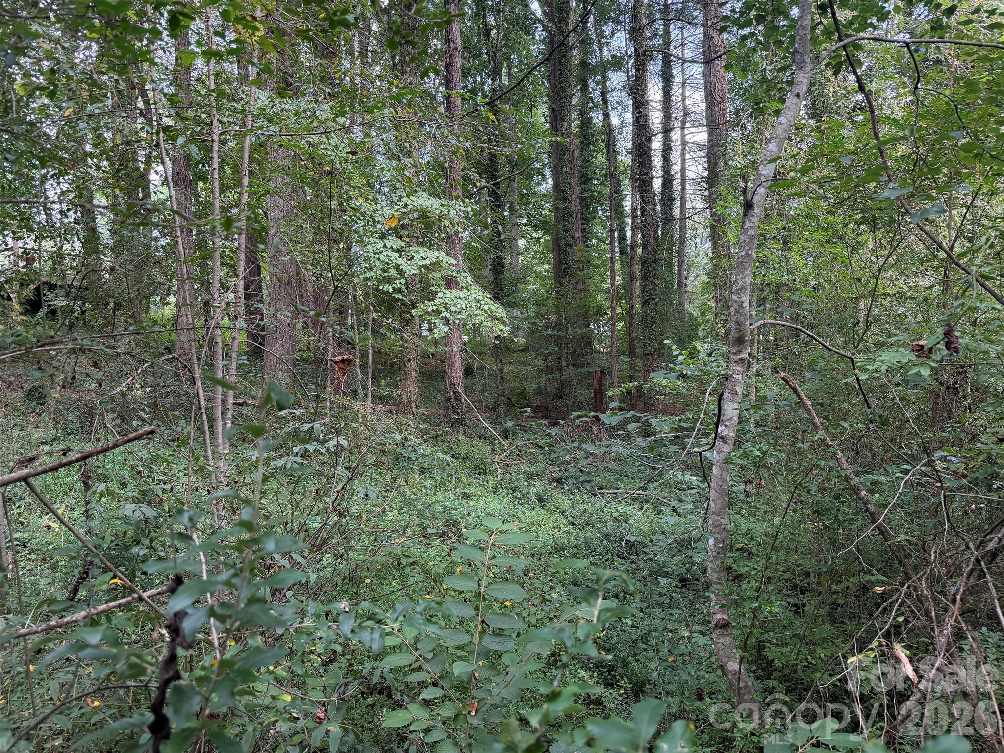 Meadow! - Off Meadowbrook Circle, Brevard