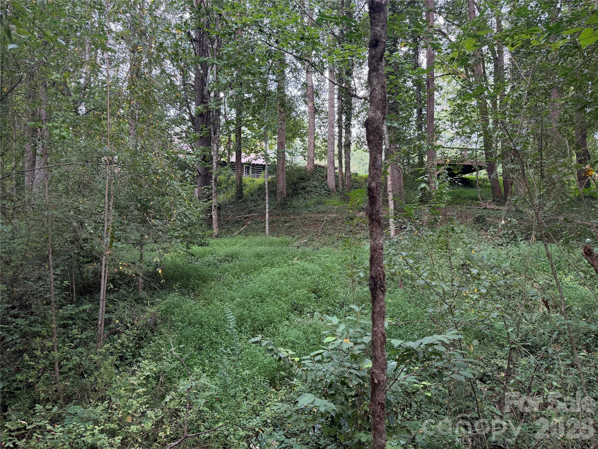 Meadow/Adjoins 1196 N Country Club Road Property. - Off Meadowbrook Circle, Brevard