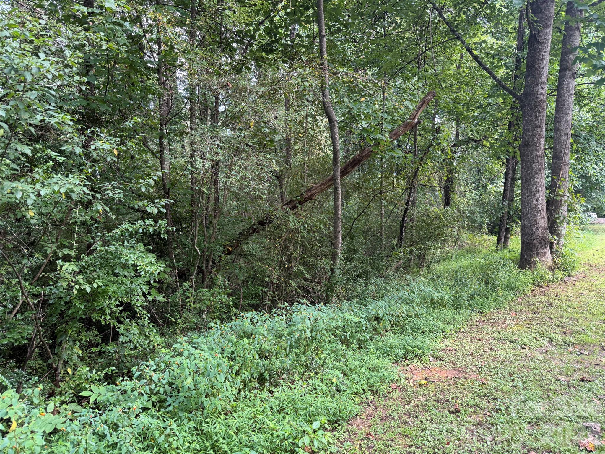 Near Downtown Brevard! - Off Meadowbrook Circle, Brevard