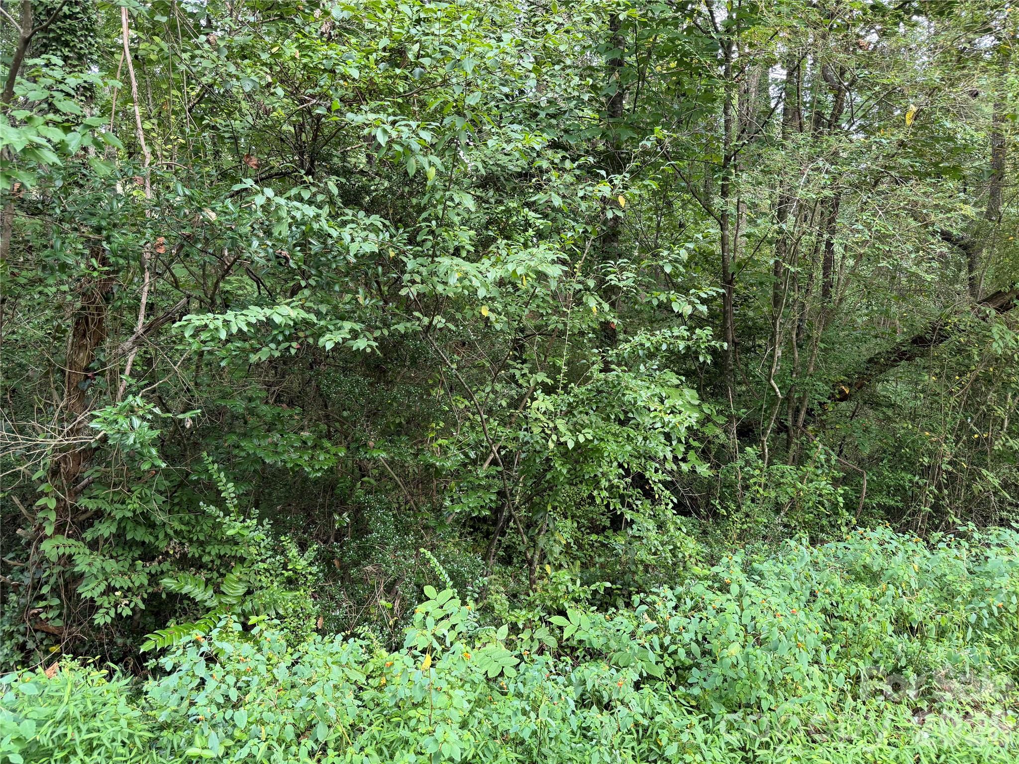 Raw land with utilities! - Off Meadowbrook Circle, Brevard