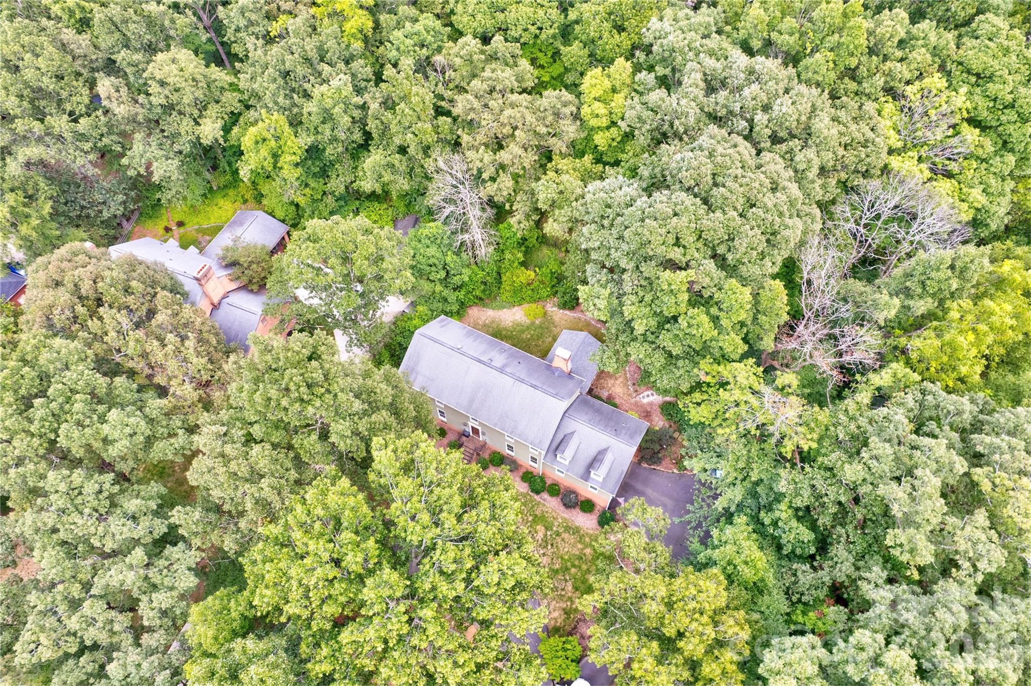 Tucked quietly away among the trees. - 215 Bethel Drive, Salisbury