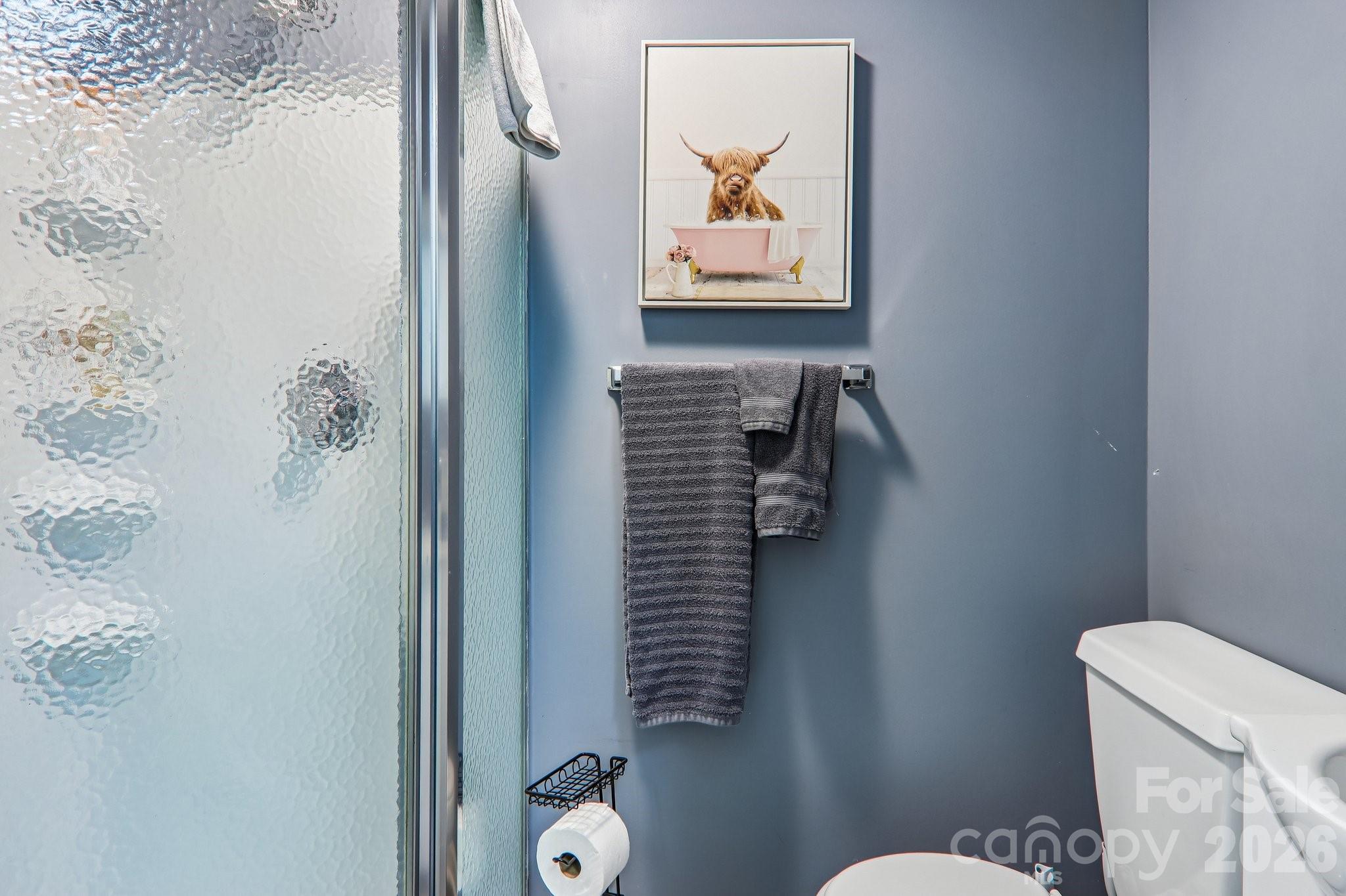Lower level bath and shower - 169 Highview Drive, Maggie Valley