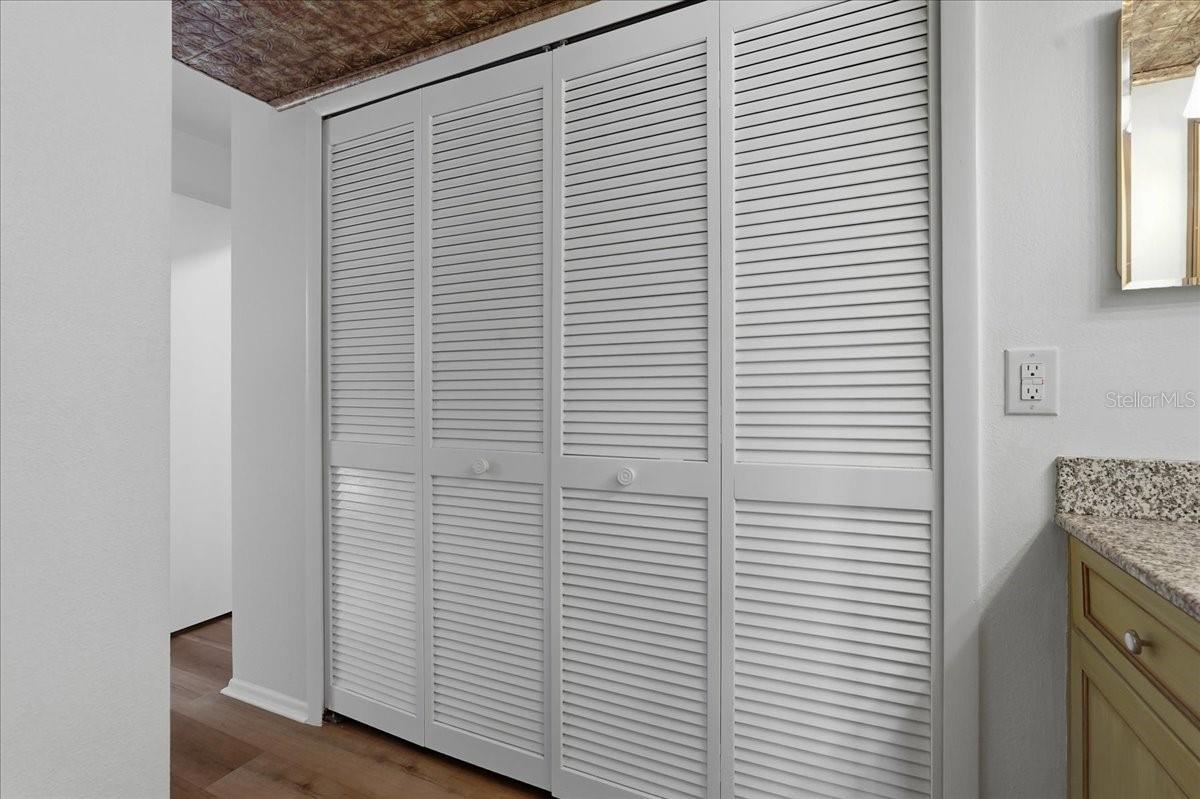 Primary Suite #2 Closet leading into the Bathrooom - 240 WINDWARD PSGE #702, CLEARWATER