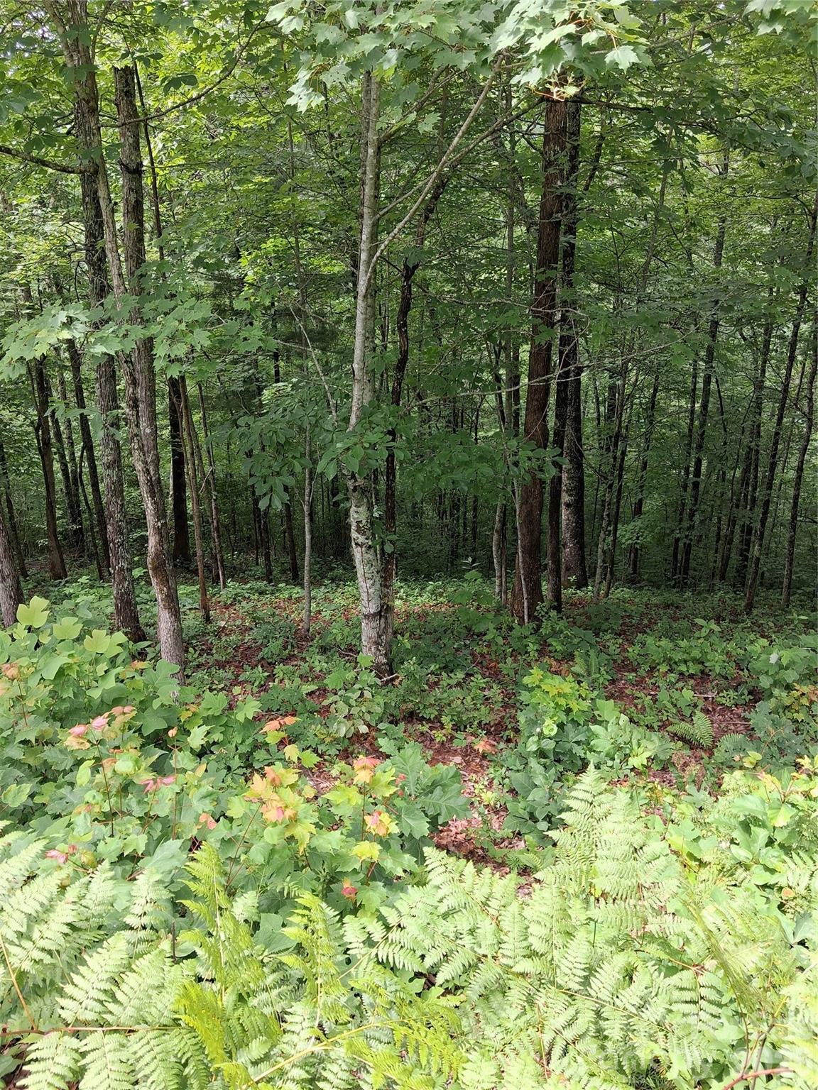 TBD Preservation Trail