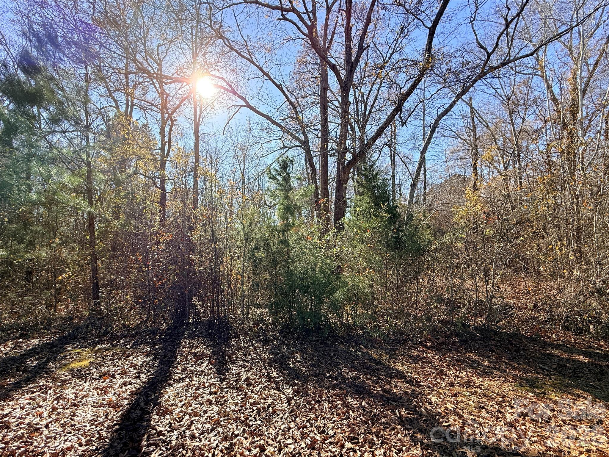 Lot 24 Avalon Lane