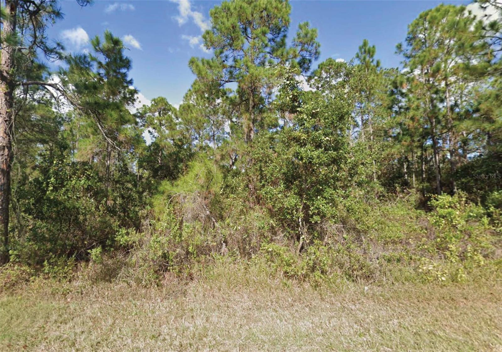 203 GARDENIA DR