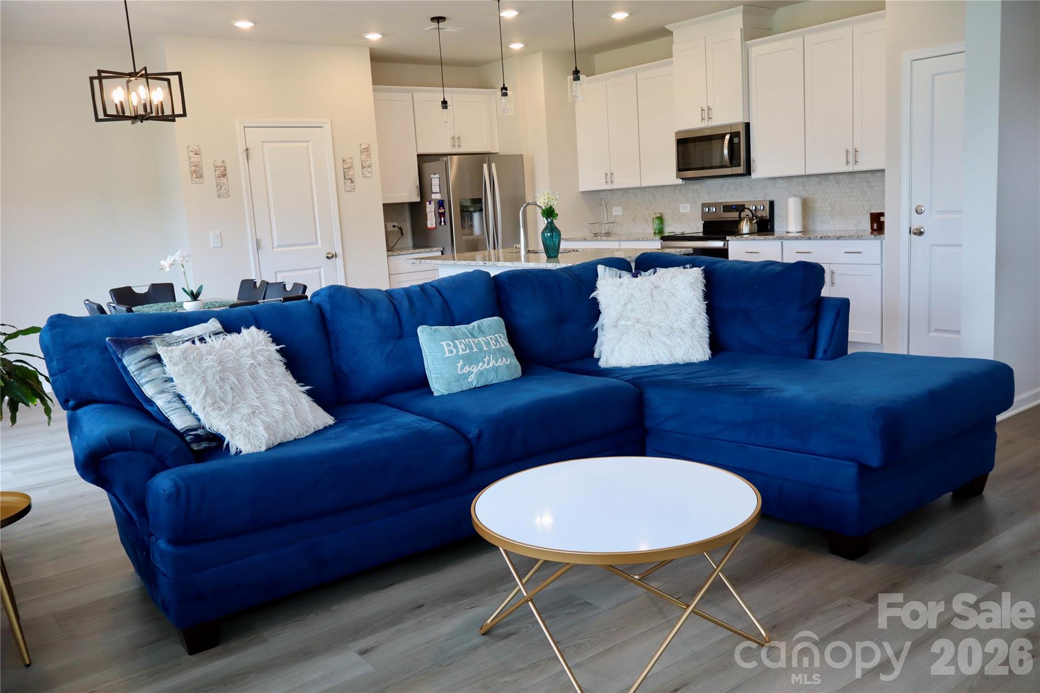 Living Room - 1013 Harry Court, Albemarle