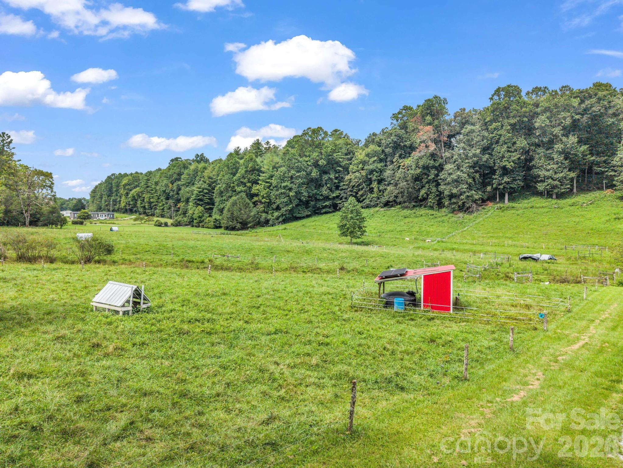 Crossing fencing for goats - 136 Limousine Lane, Pisgah Forest